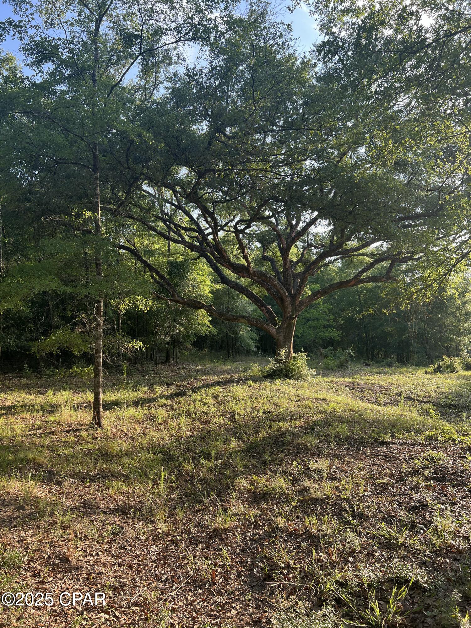 Tsfrwgng4oqwexcsgawz45csex8zlxqaj9xvlavngzc