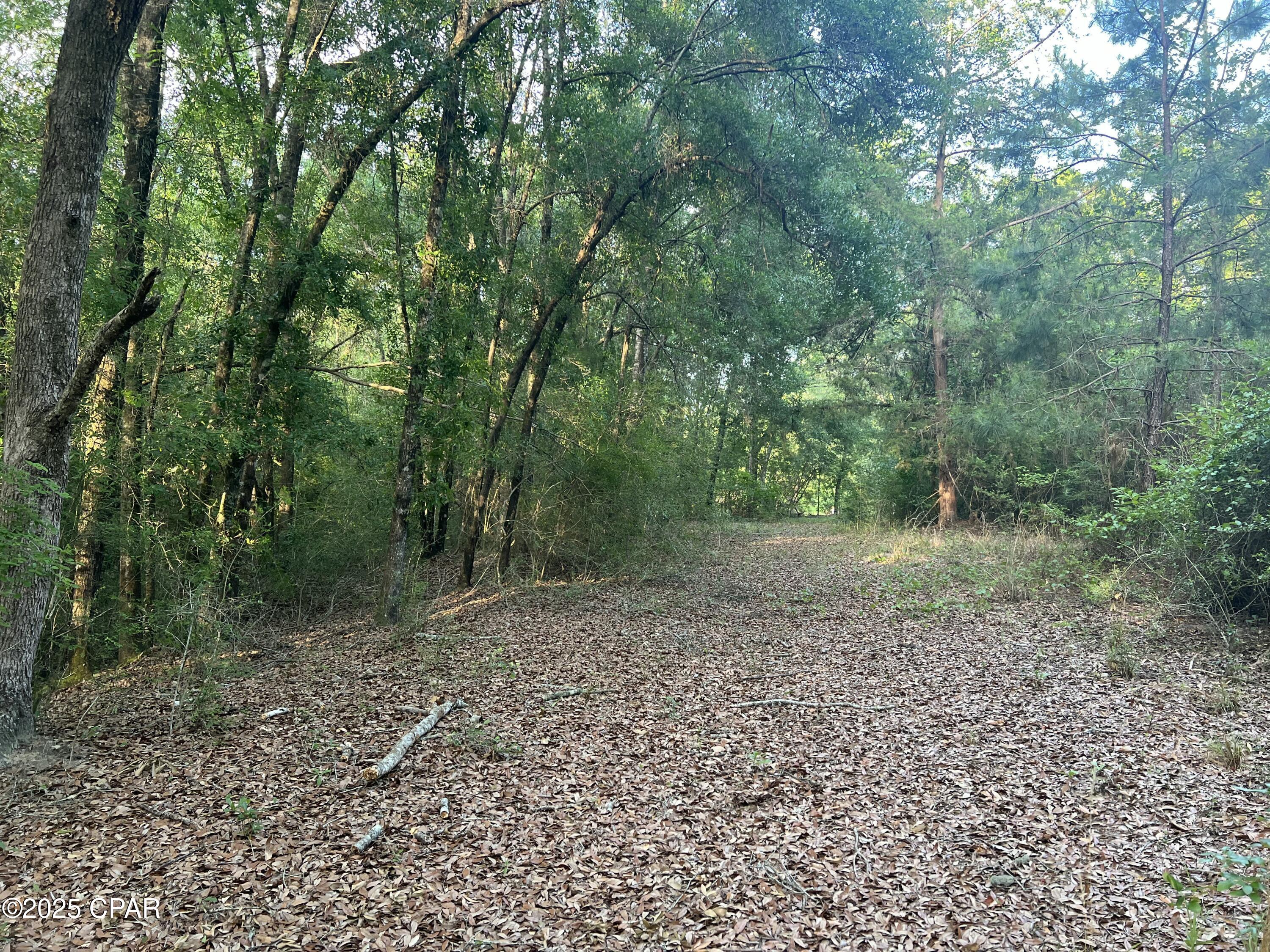 Ap7wbx33mfrf1qqynpsnymtpwotzhnfzlgy9nuicf4i