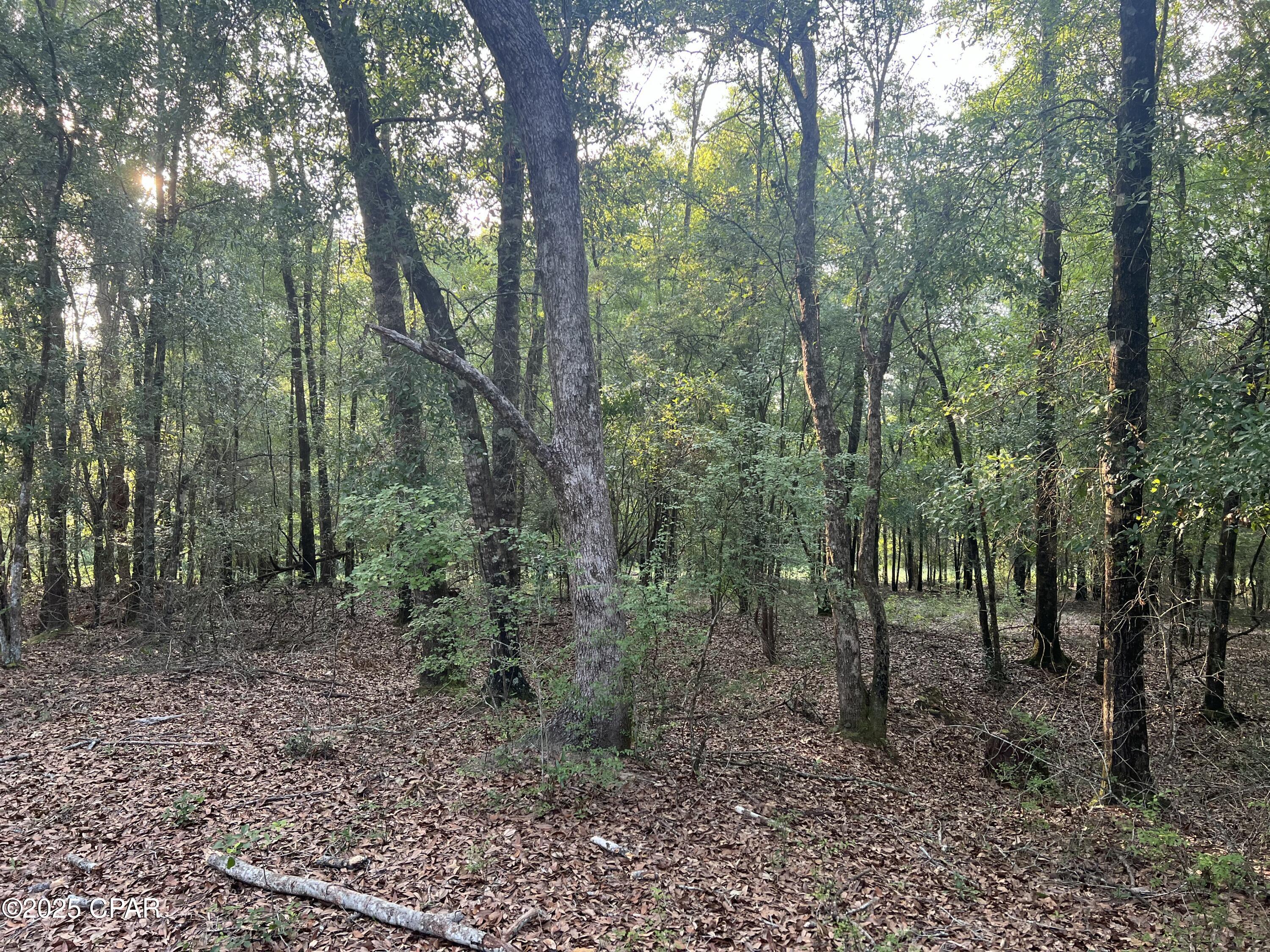 Hizug7yhxet_nyxtnj D5 Ijgopuihqfnd0q1ejbezm