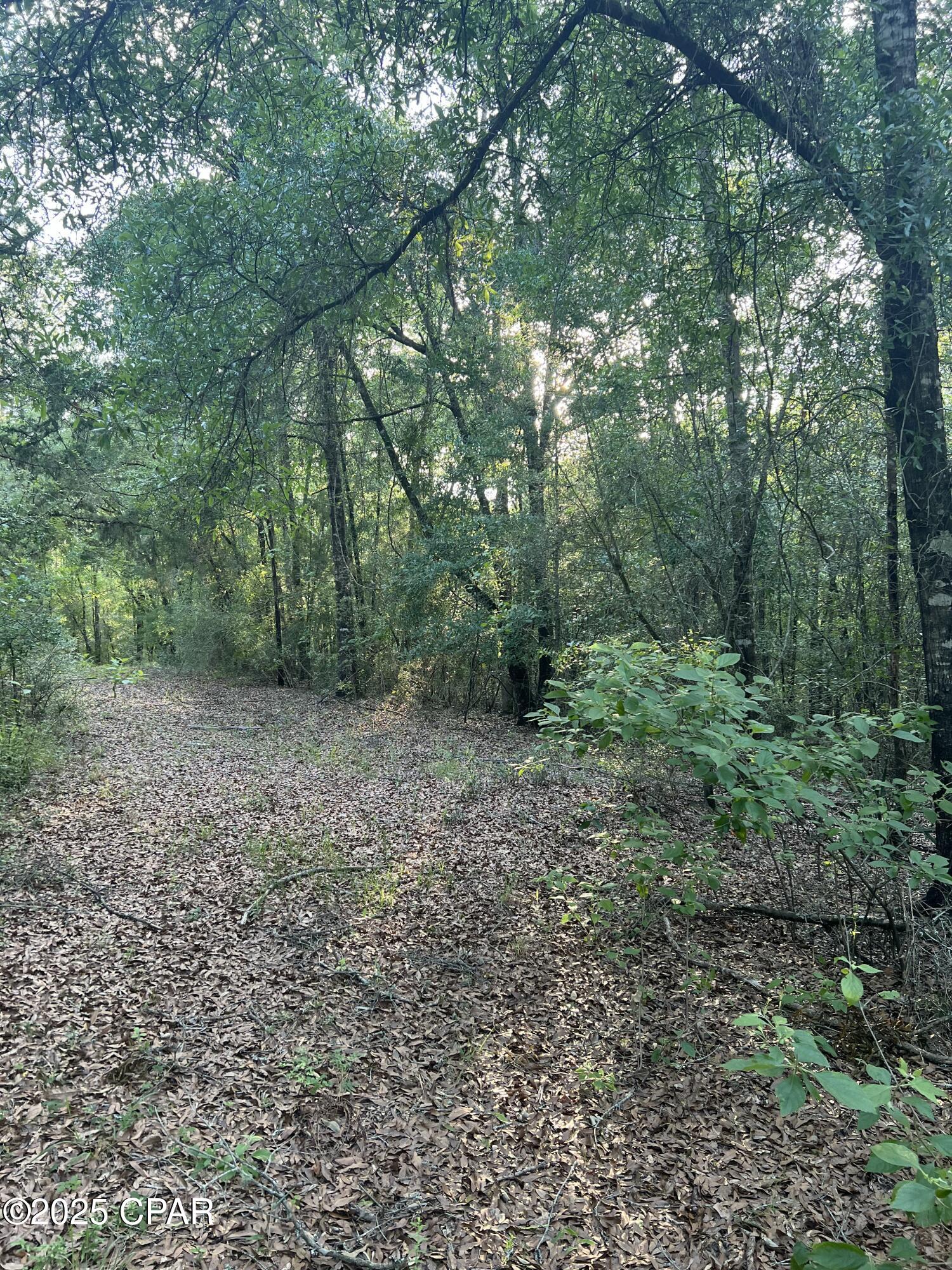 Dgt1eu5stiwvklxqmjxecsfbox63rettq_xzvccsd14