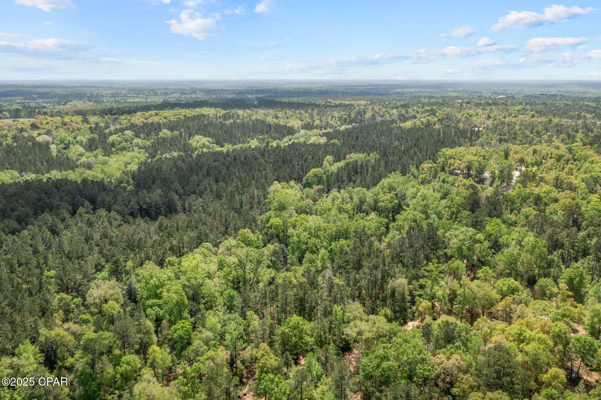 Image 12 For Xxx Spring Lakes Drive