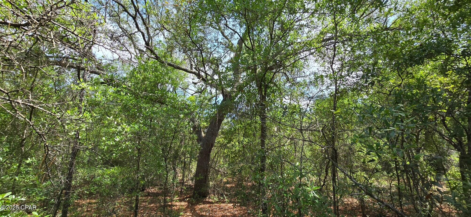 5btsexytcnltib30xdipeao891rtnkprhgy6sa5pobs