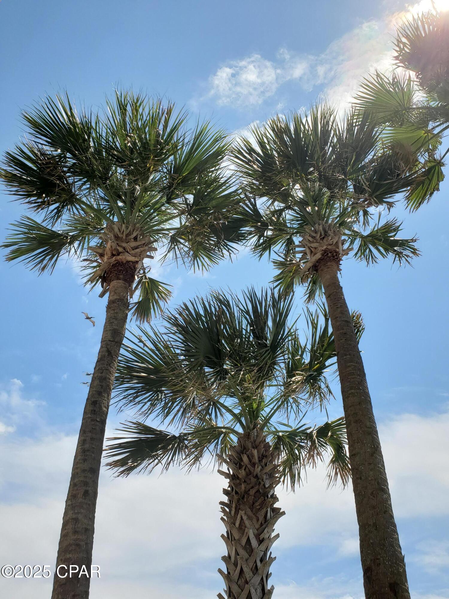 Image 57 For 9900 Thomas Drive 1323