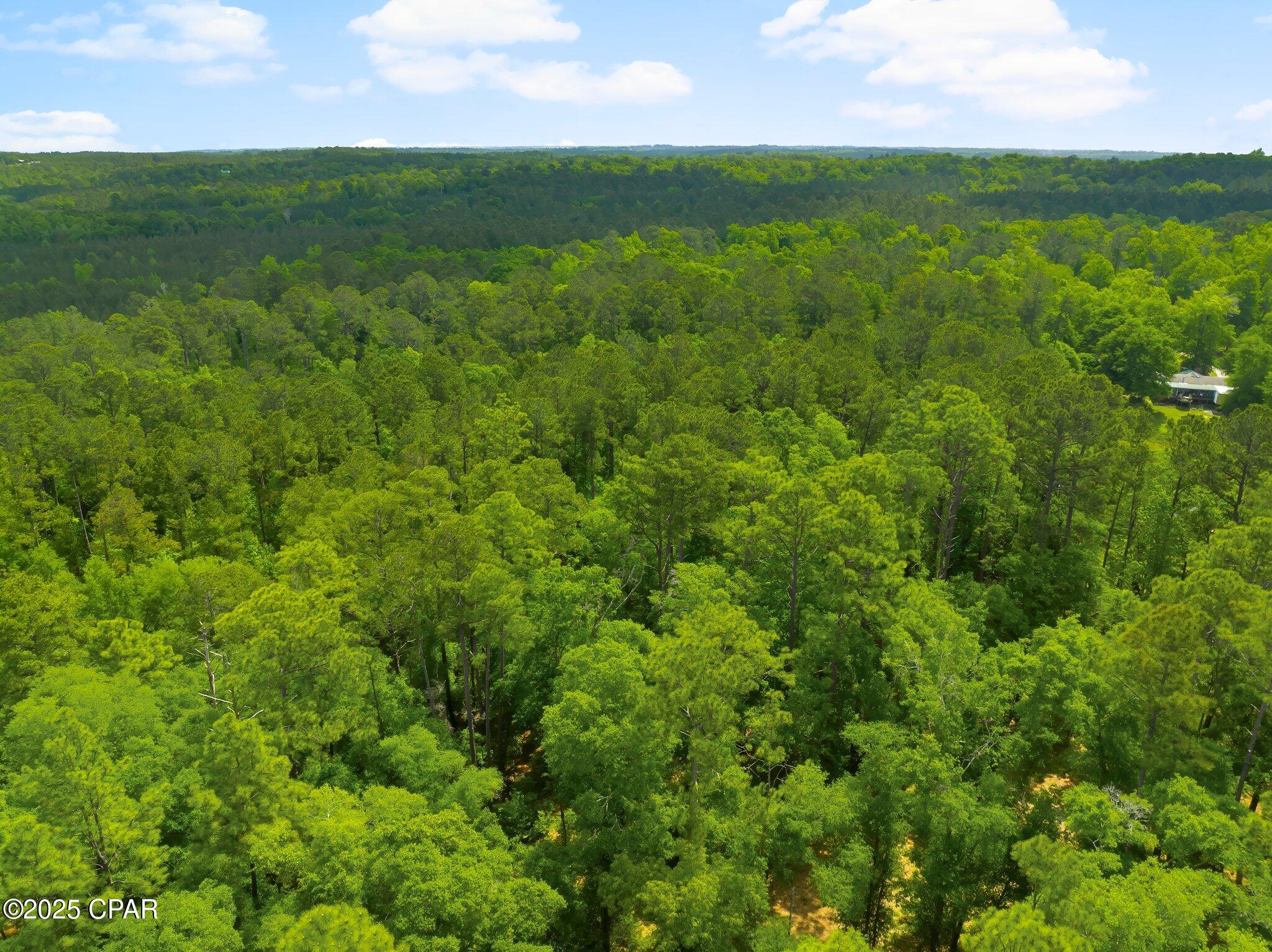 1jr8jnmazpps_v48y Rwj5sxkgbm14yigrwmilwvil0