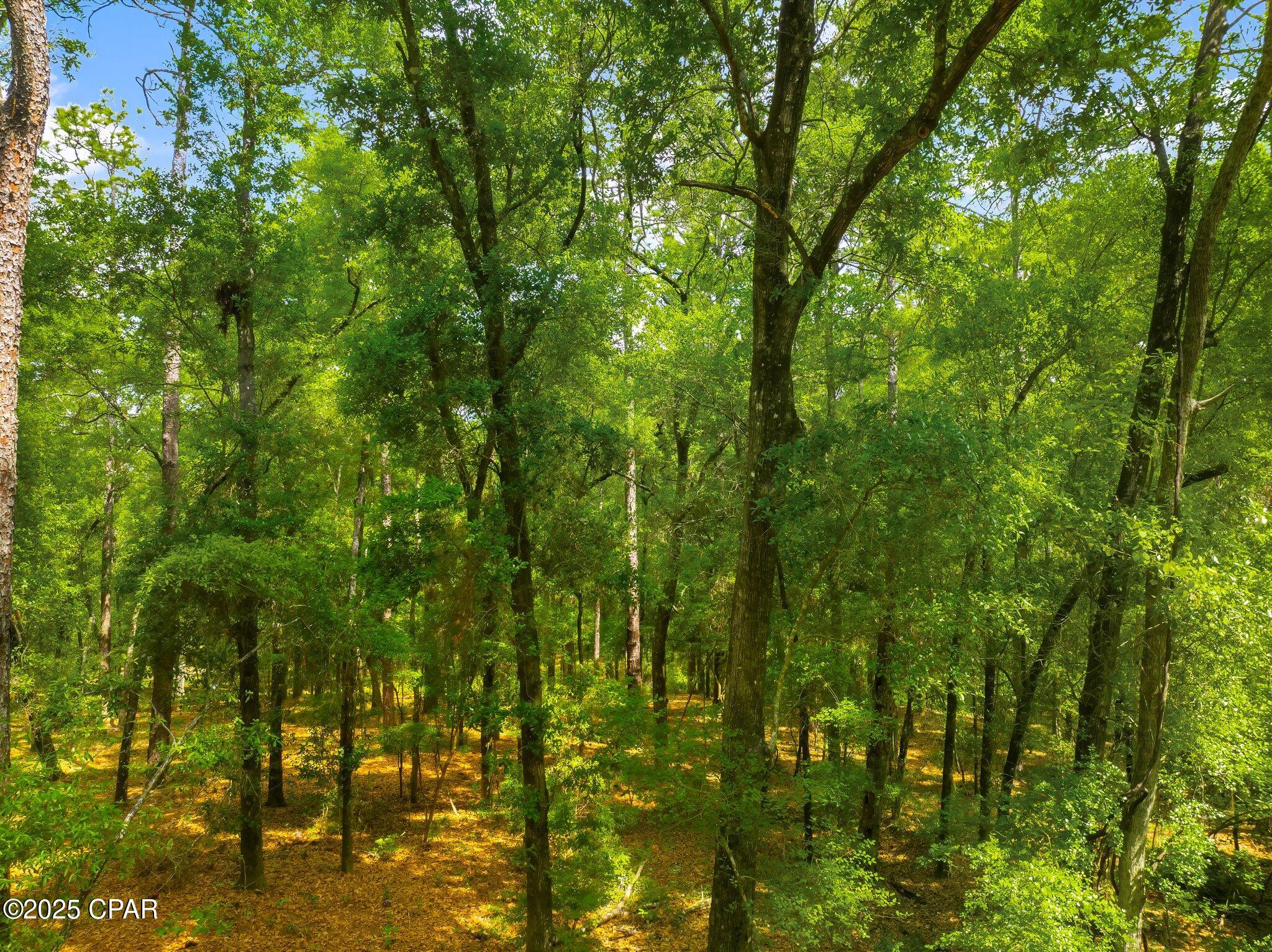 12ifjiuqaaocx9jd6ztll 7u9l5dfneqqismpjfsksw