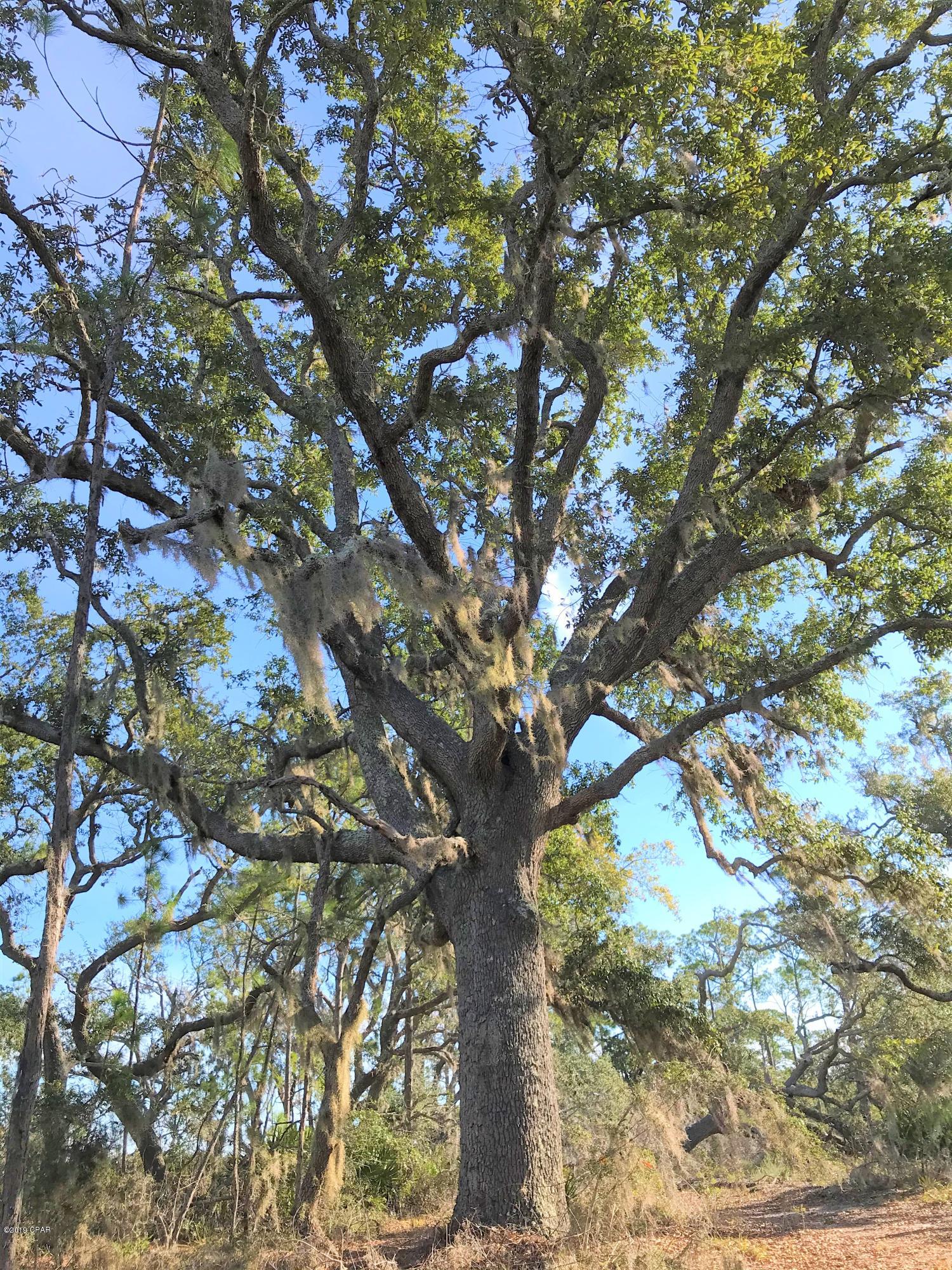 Fwgu2yrxywtr0q3ccrqwunhmda1otvnssau8fxemb Q