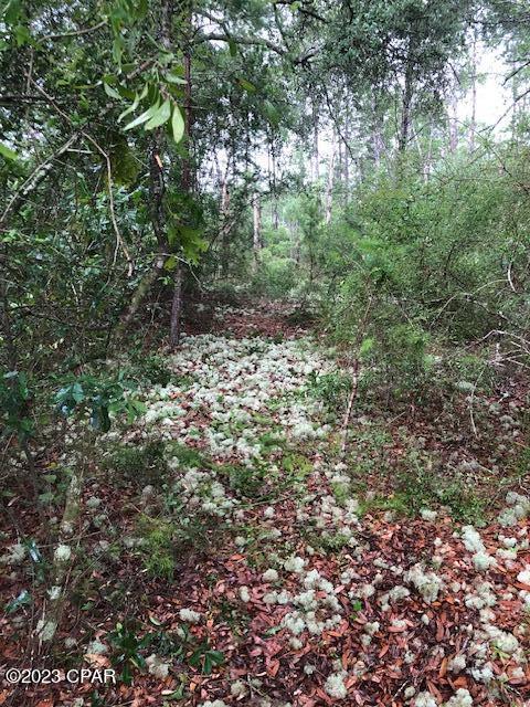 Kpfdf4e040b28n4hn6kklpfoirfjirzlci1ec8w5qje