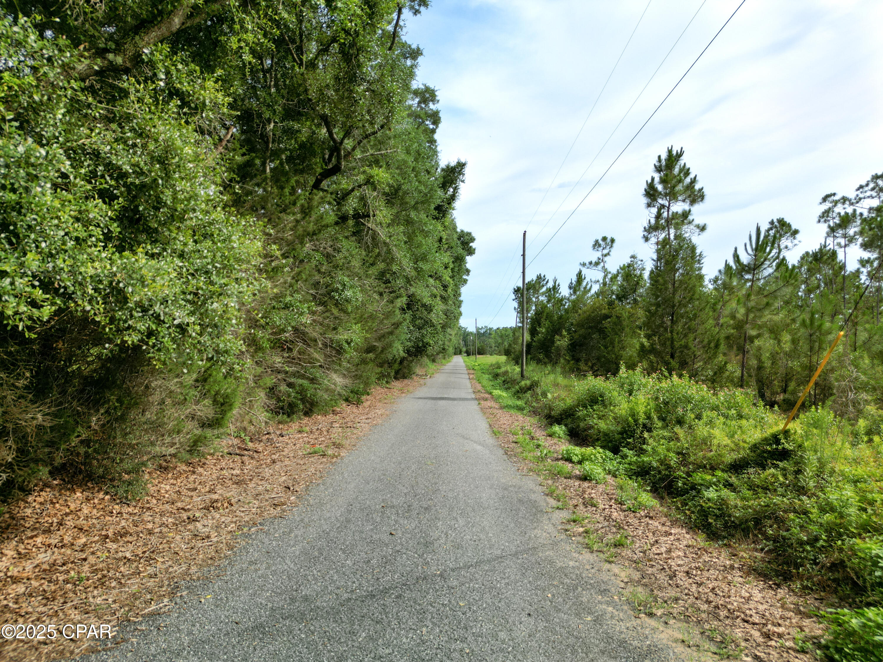 Tay1bzrubyorrr4zmx09pqw Lc1famlar3nn6sc5i2i