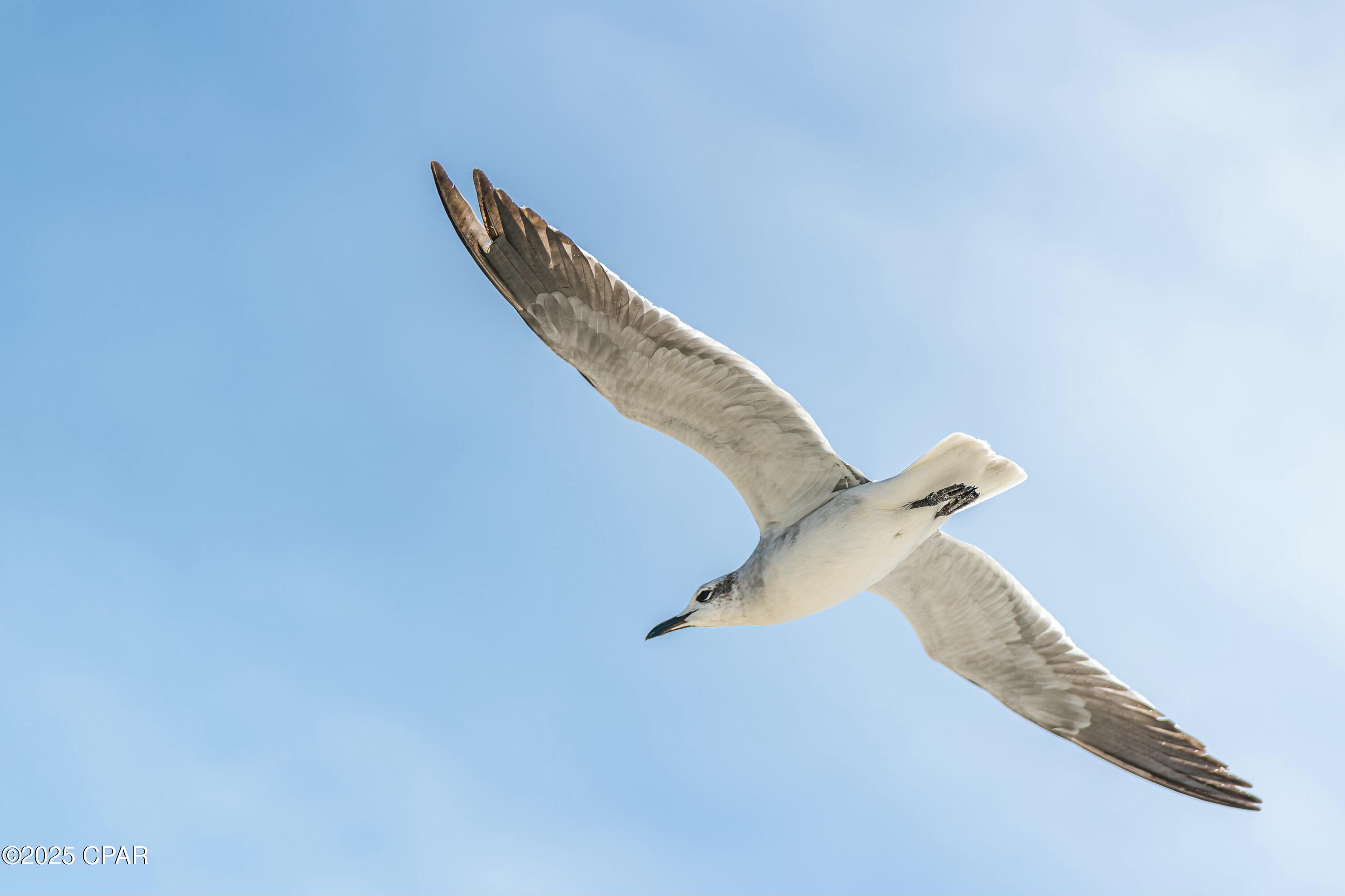 Ybv4dszalzn08lcpym Pnq7z4ur5rpe9seahrylhxxa