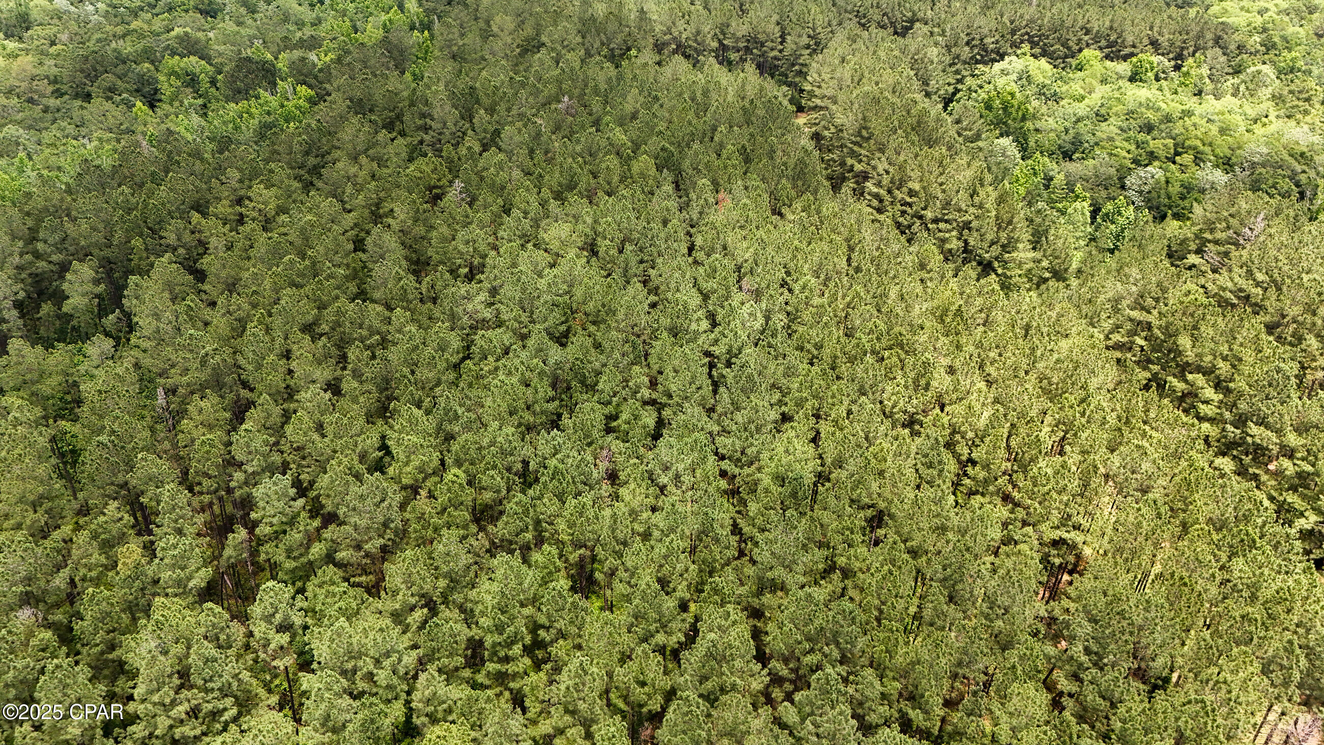 Scho6rnzripmffnu9szrso2dyg8rjlnxsgaw3q3hrwy