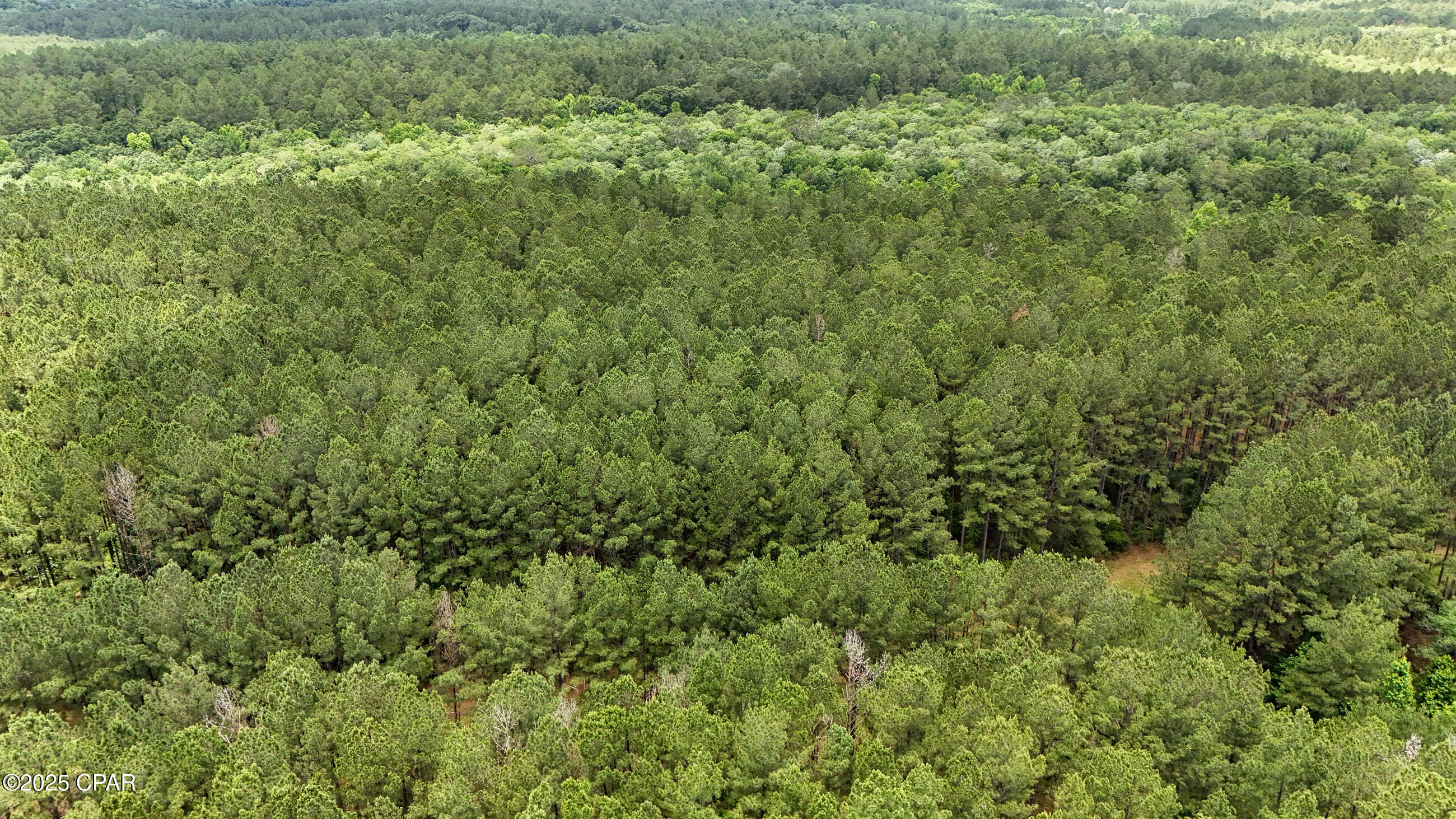 Ti7x7dmm7p1rxayzuegfuxekrwt2d4z04crt2g4viz0