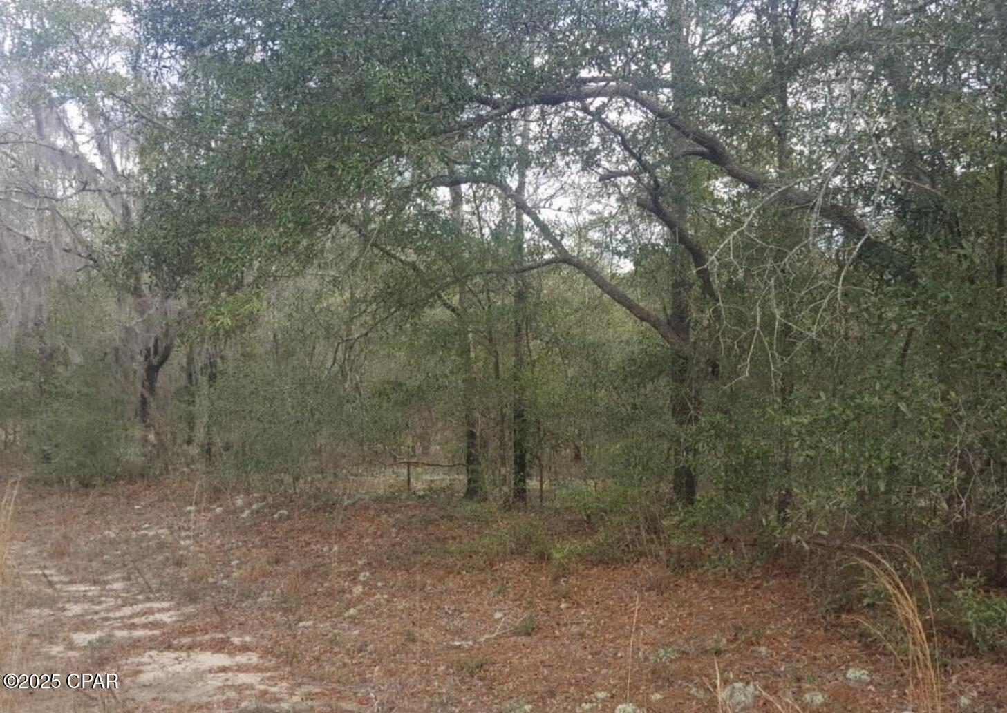 Gmvn3f 4k6fyf R5nkm99dimca6xkefca8pmb18bc0y