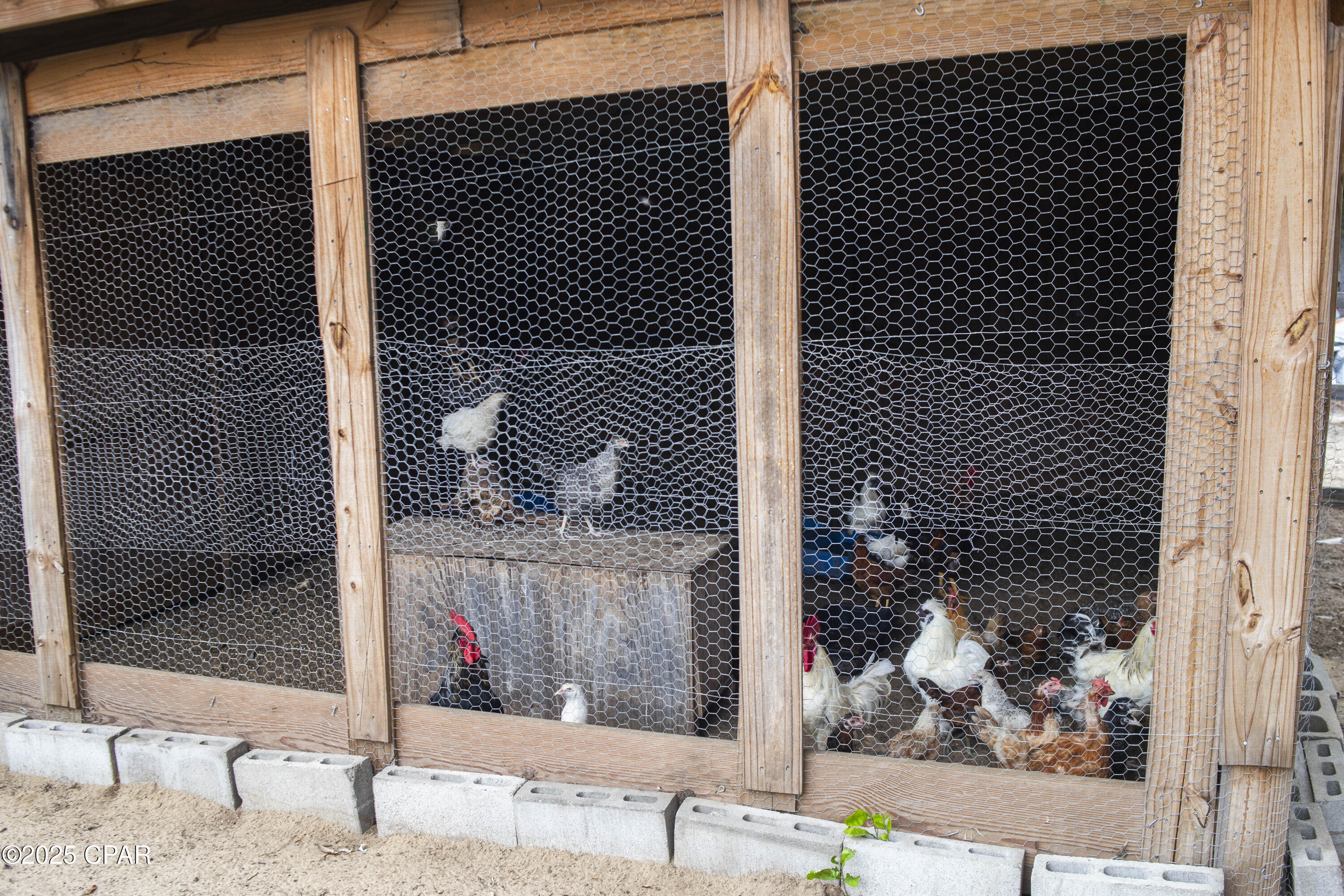 Ddtnxrwrihu2gkbxn 1mtptsaupm8t92zjly5ss0f_4