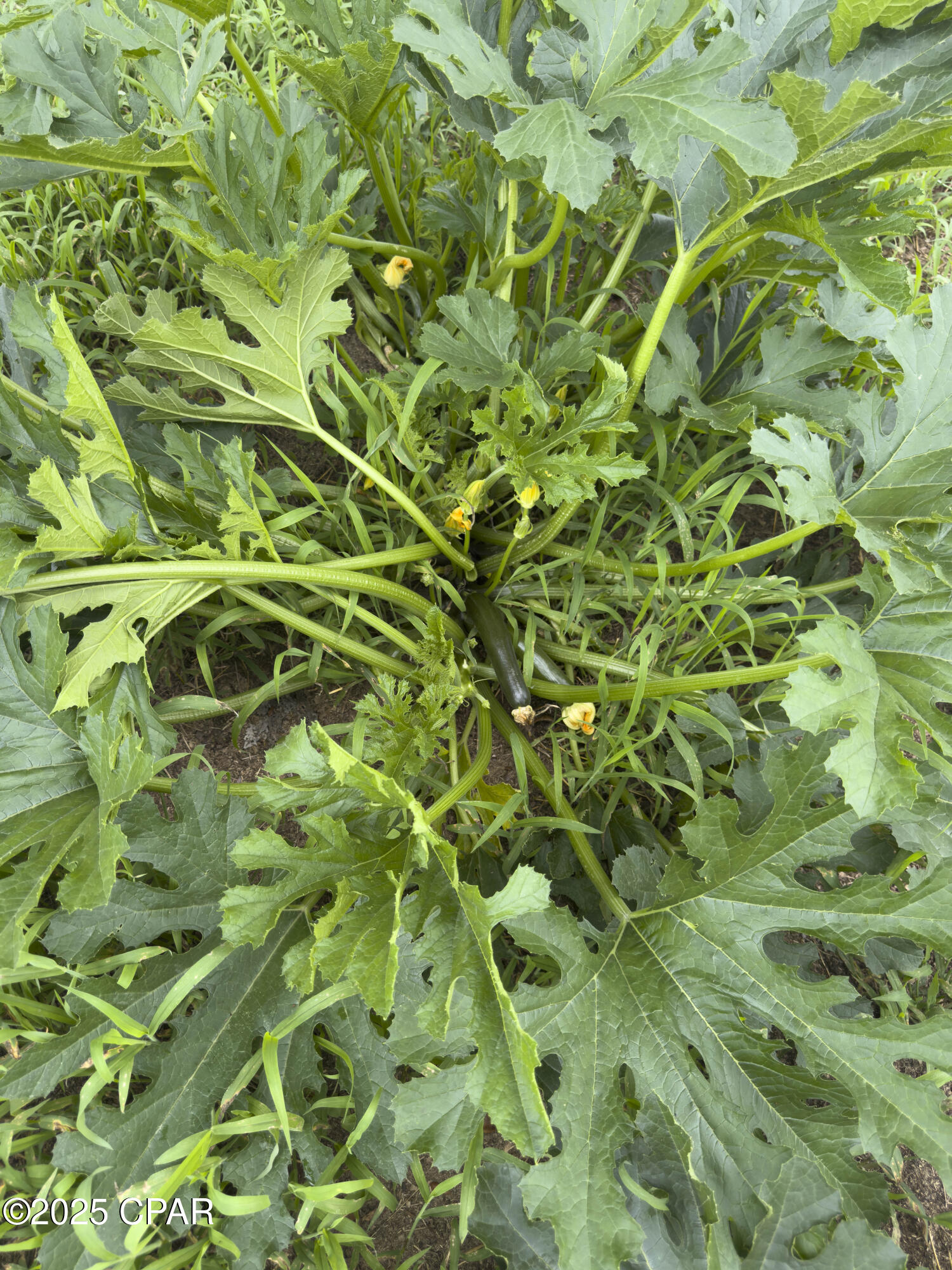 Ggnzjxix9qndeptg4uqmp6zf7llf_tsnflpupqokd9k