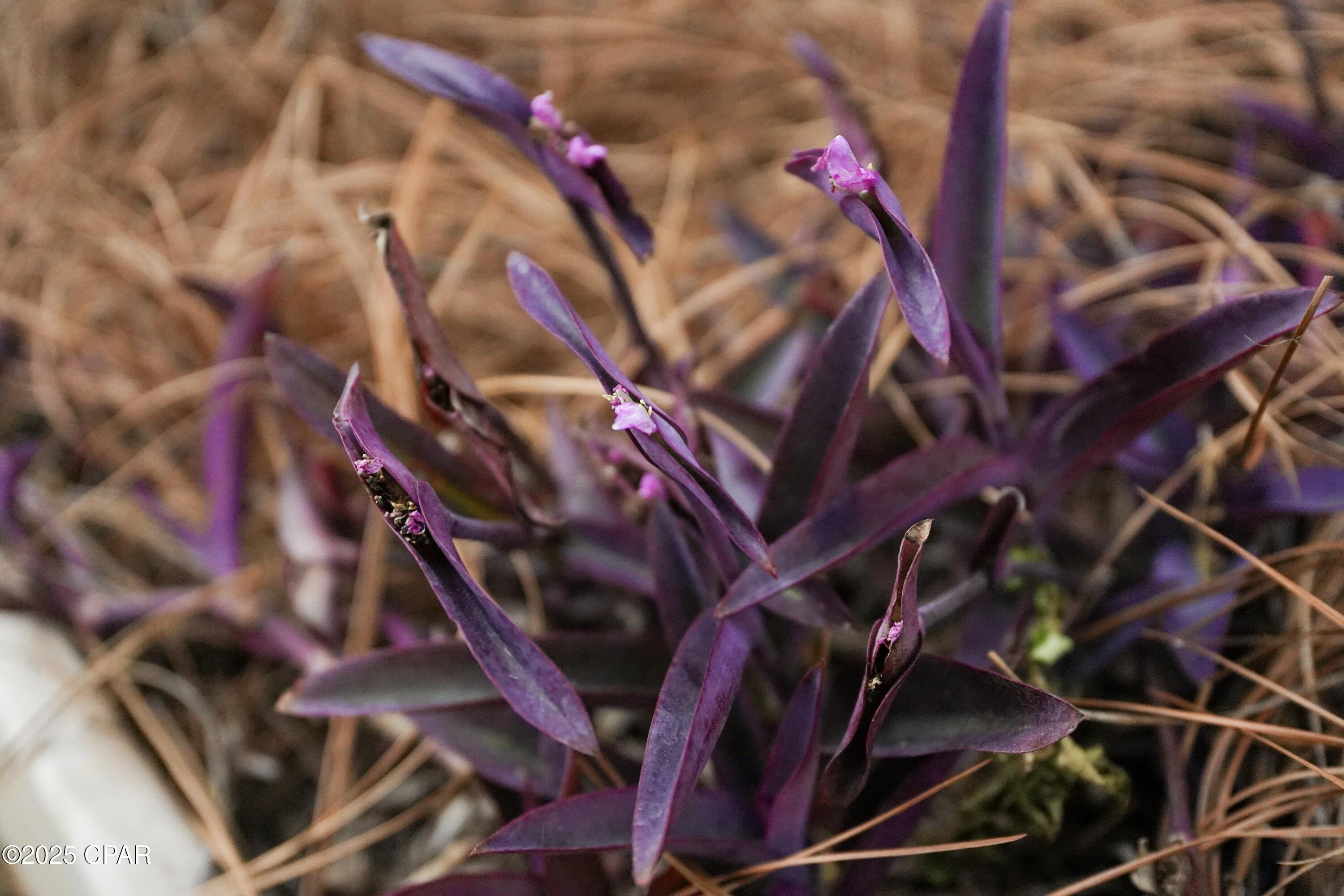 Image 92 For 860 Highway 71