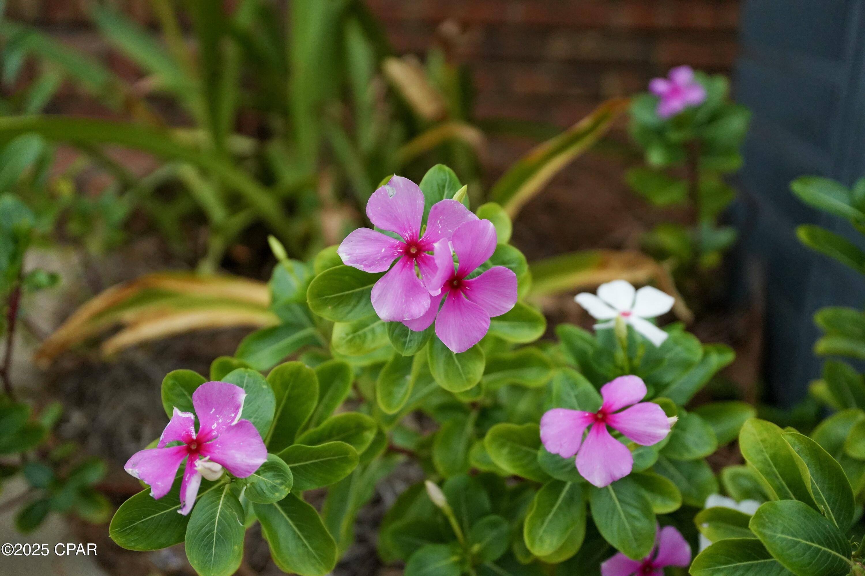 Image 93 For 860 Highway 71