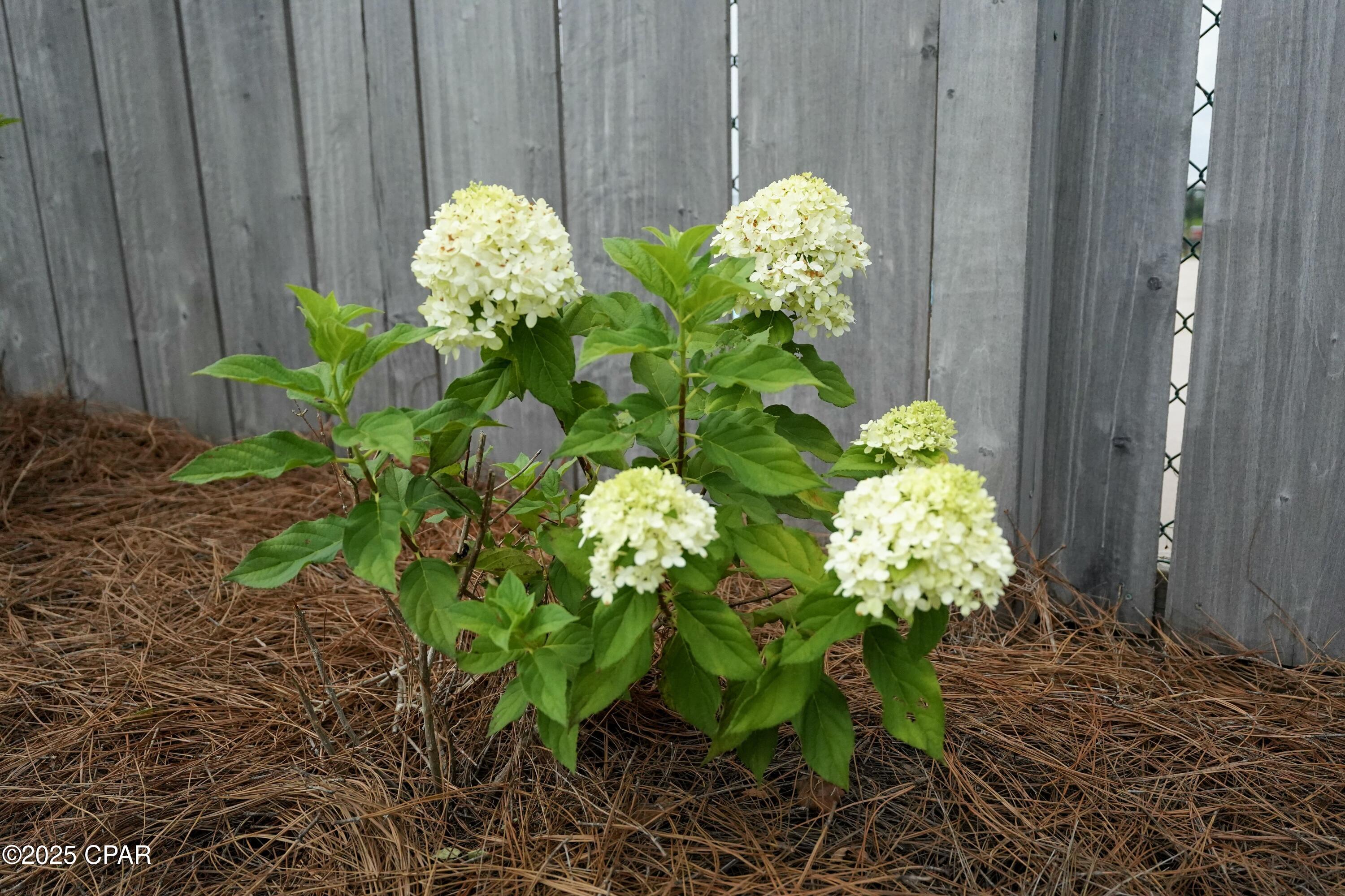 _frepaqfb5yhxdzar6dl5mdhbtc3nhwyssuo5esu03m