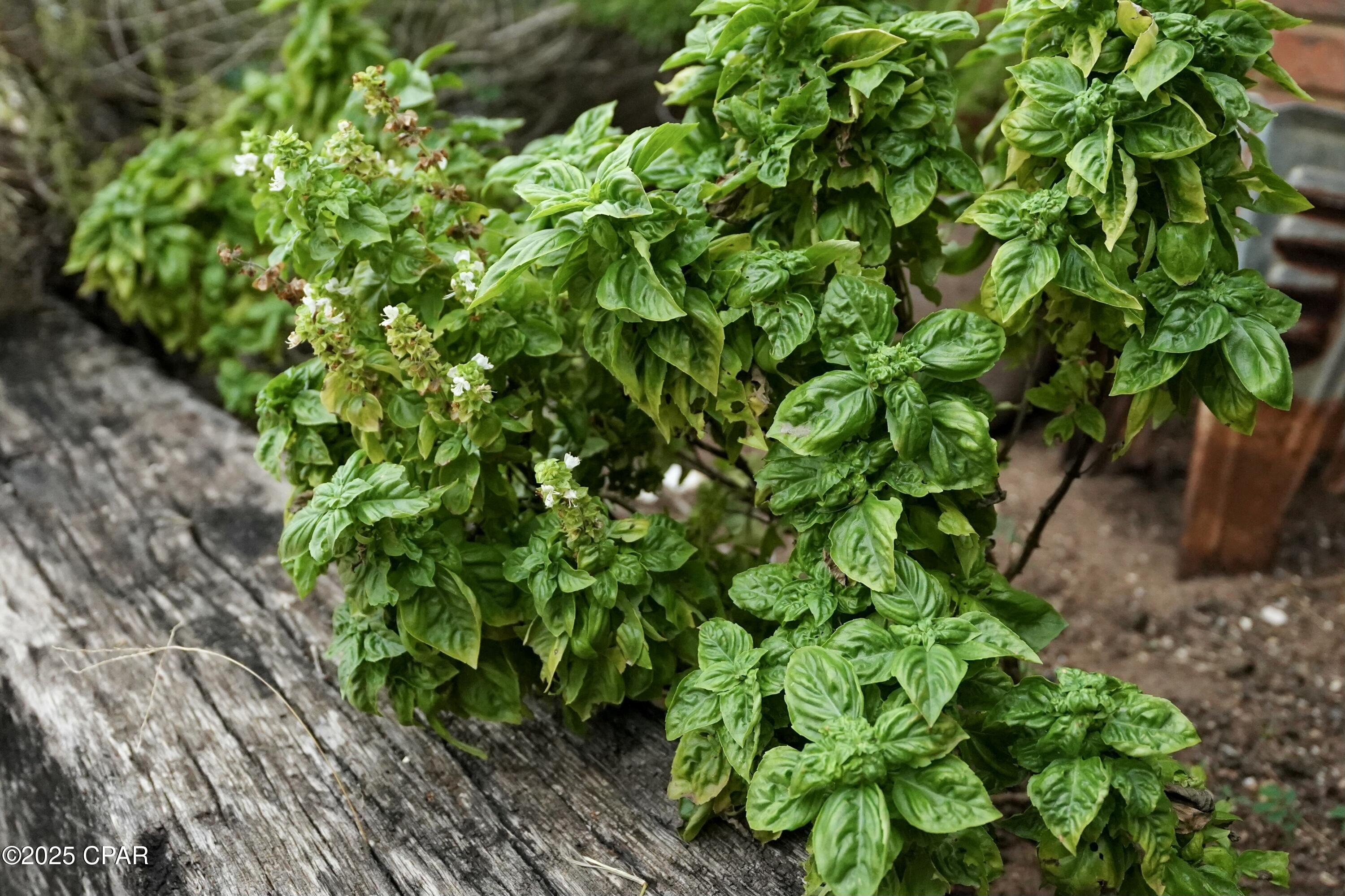 Rc6w6t7yrwul3bvykrrdmu2skbmtdq8us_qxxuozwlq