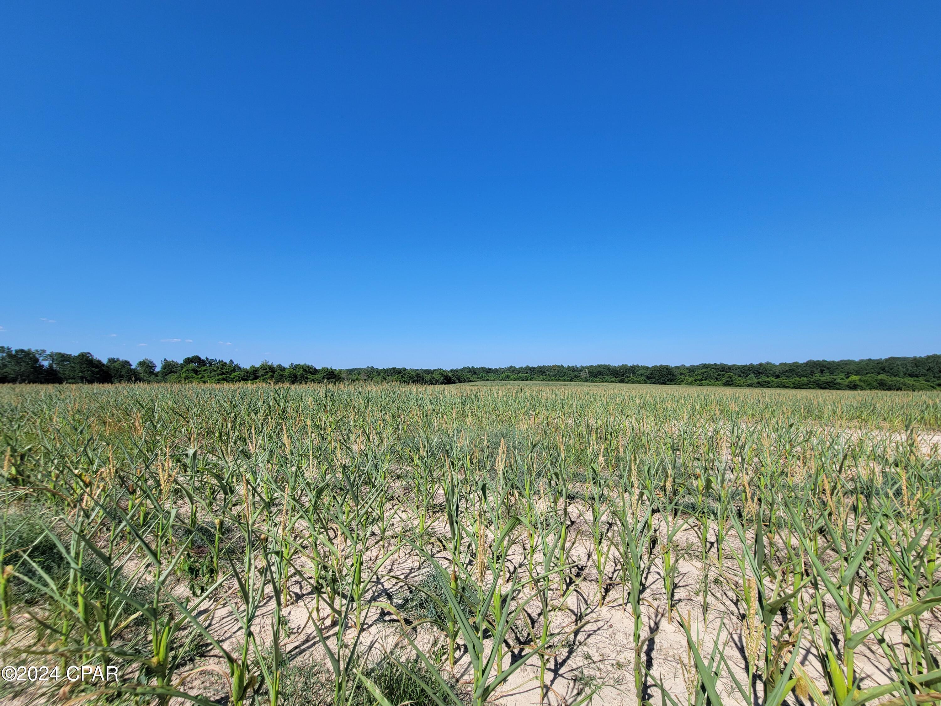 End2tfj_vszce0o1bio9cckvzr0lmiiactgtivirmso