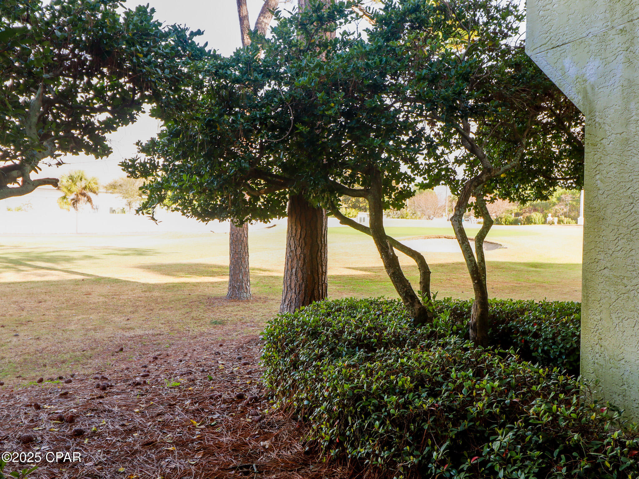 Image 19 For 520 Richard Jackson Boulevard 2001