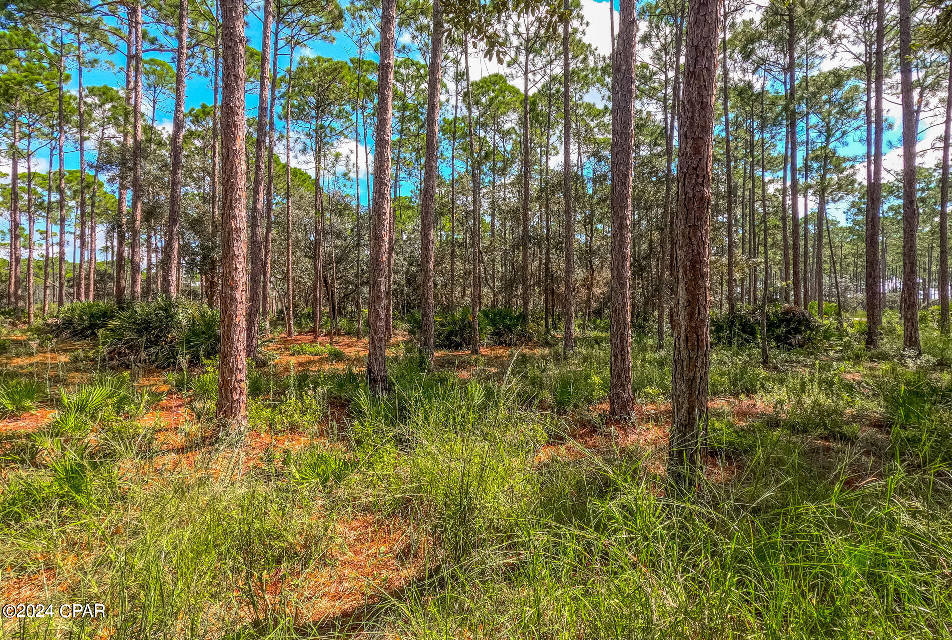 Image 10 For 6326 Riverhouse Drive