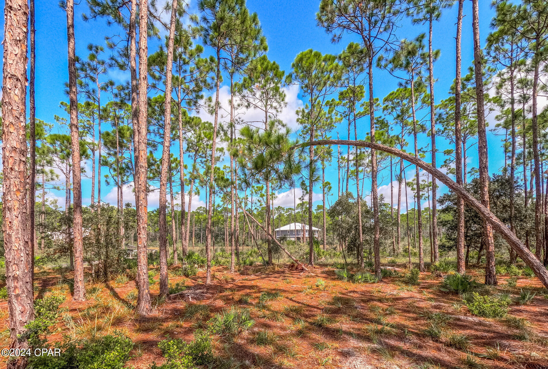 7u9s_k1atsxesaamrcxfeezo7azwkdiat6rlp1b8x0m