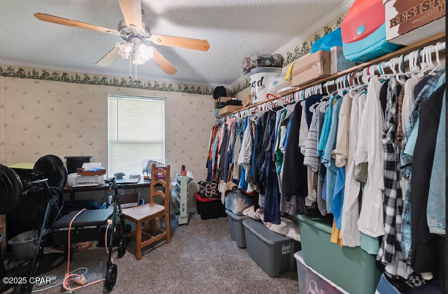 Xw5sfvz73oujt2_ugbdumlvwsitqqa1fkdhutbs4kxi