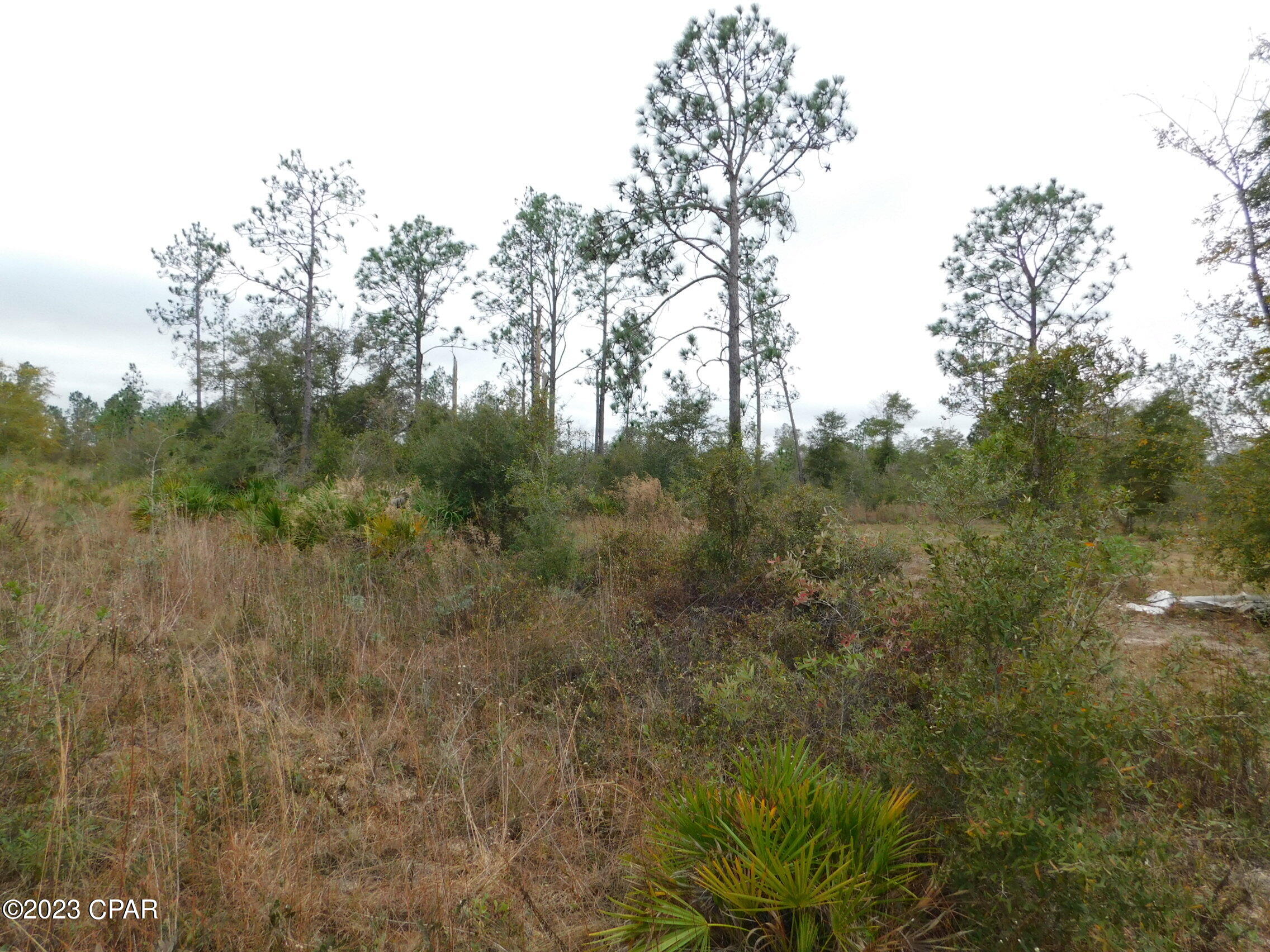 2pbz26 Pi7wgap00hlnj4e80nzw Favvwvv2z1ku29c