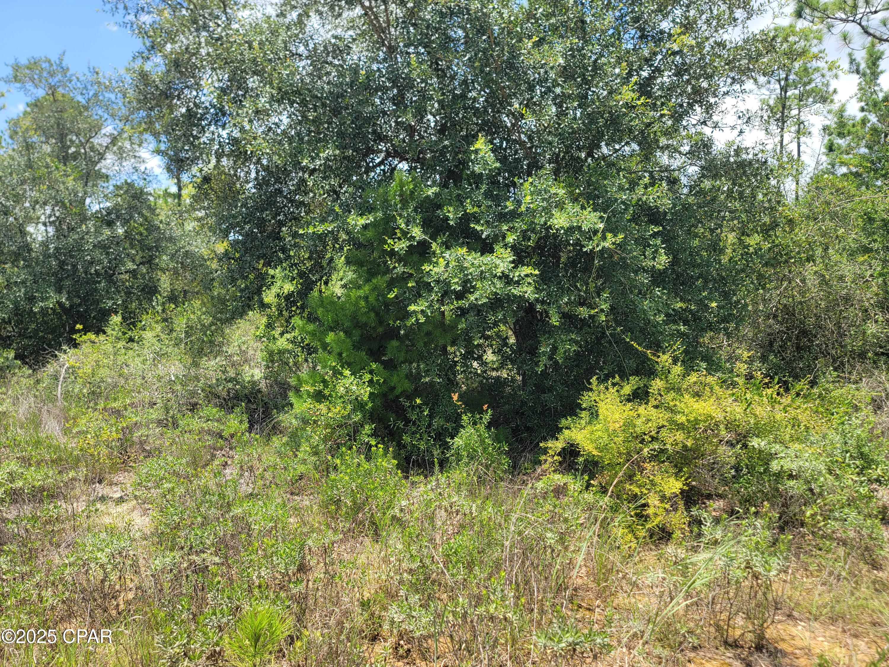 9zkgow0x_dd6rgms7oml7j7phxvimkbm8g P5xhg9io