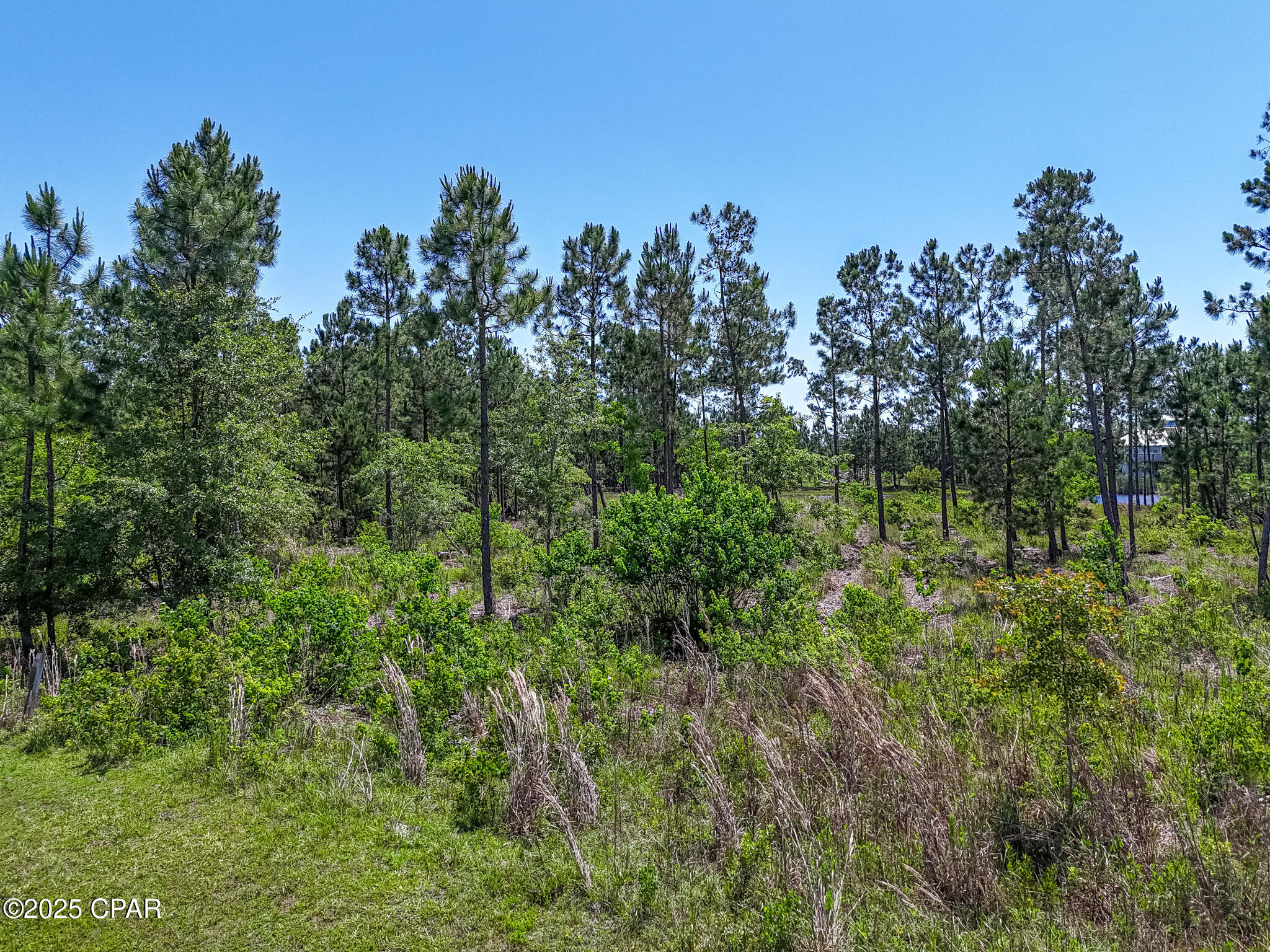 Nzymxip66nmpsqncpxo_vygivij6g1ylakdu5handew