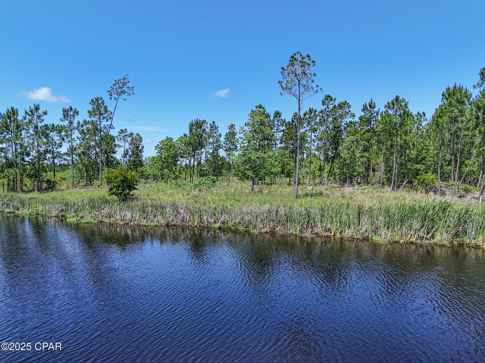 Qn_mxp2iqzh58mbixdqum9umlebuha5n Nqsc_caj14