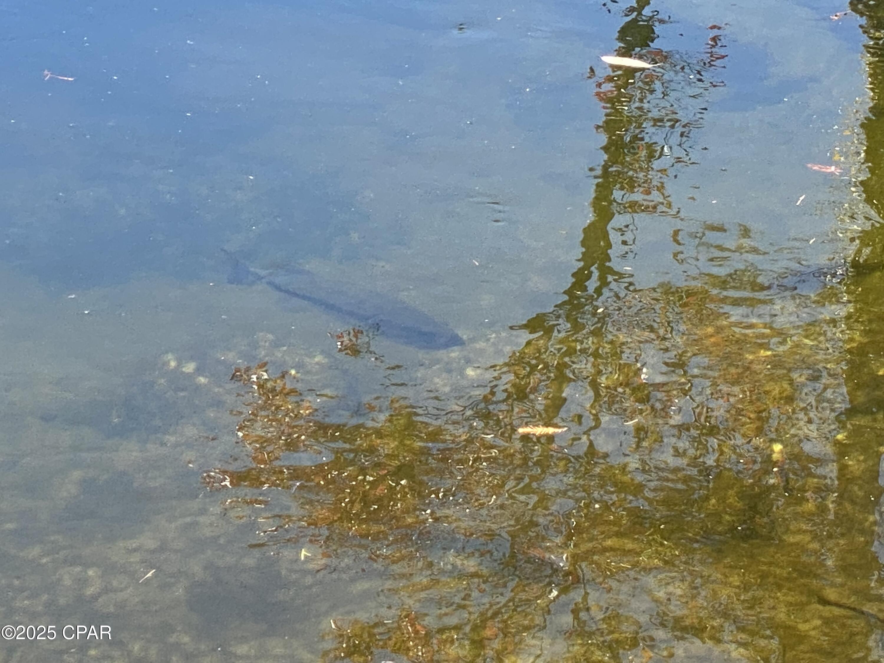 O8yvlcdgb74gxxm3l 4bhblhpvkqfaidicsxx Simak