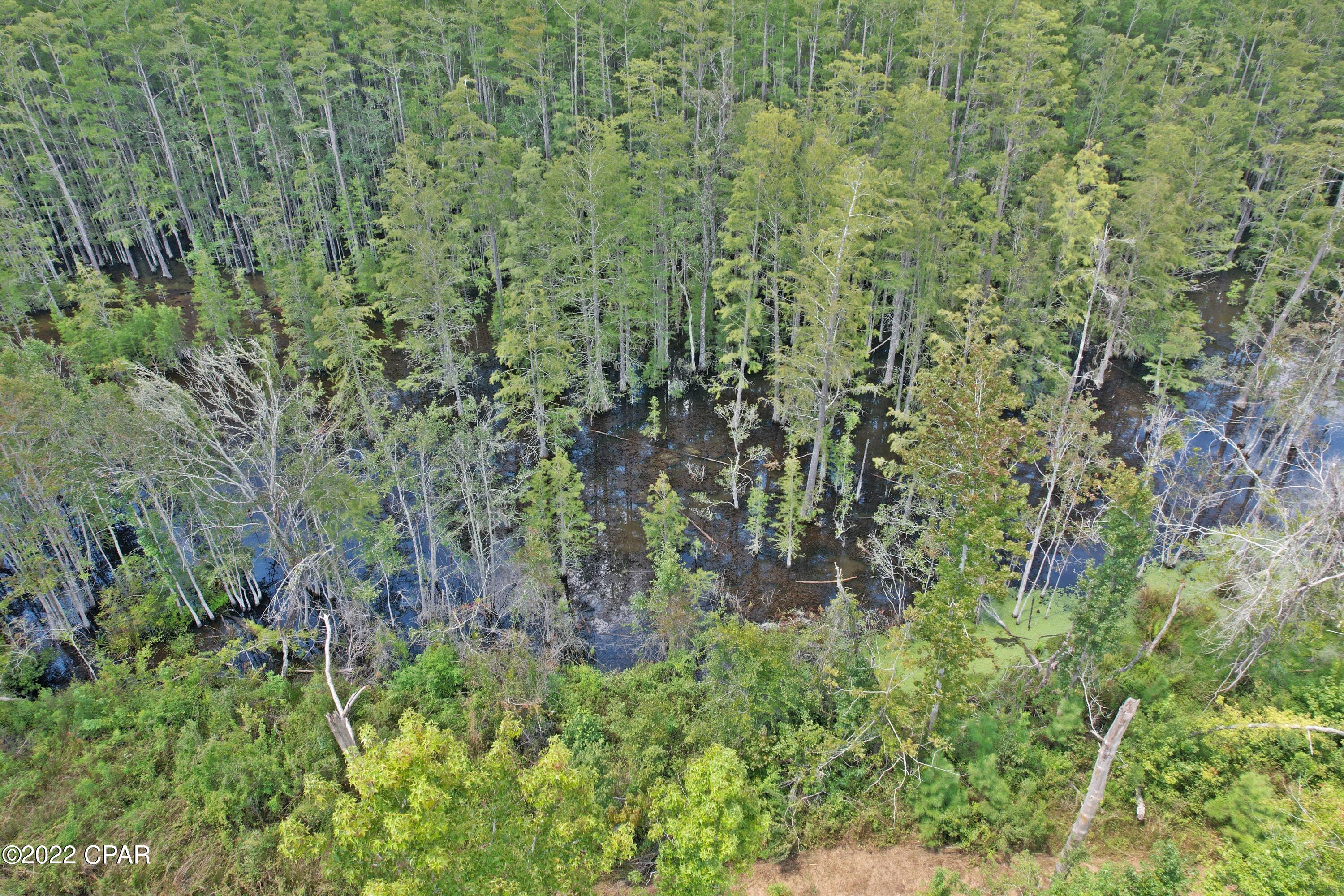 Lqlwcutemarsvn5 Sw_3afrxfwo6xapqtkj4_w95cpq