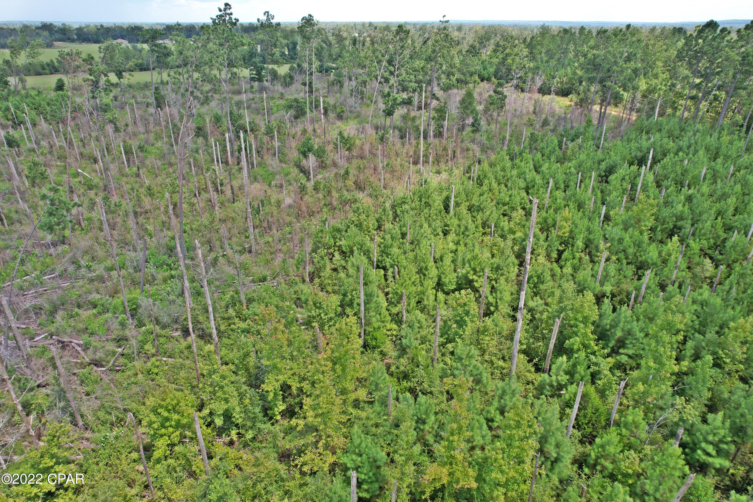 Q3mgxyyb43pjs57qxk51frhux4ncryjn9giep Qidzs