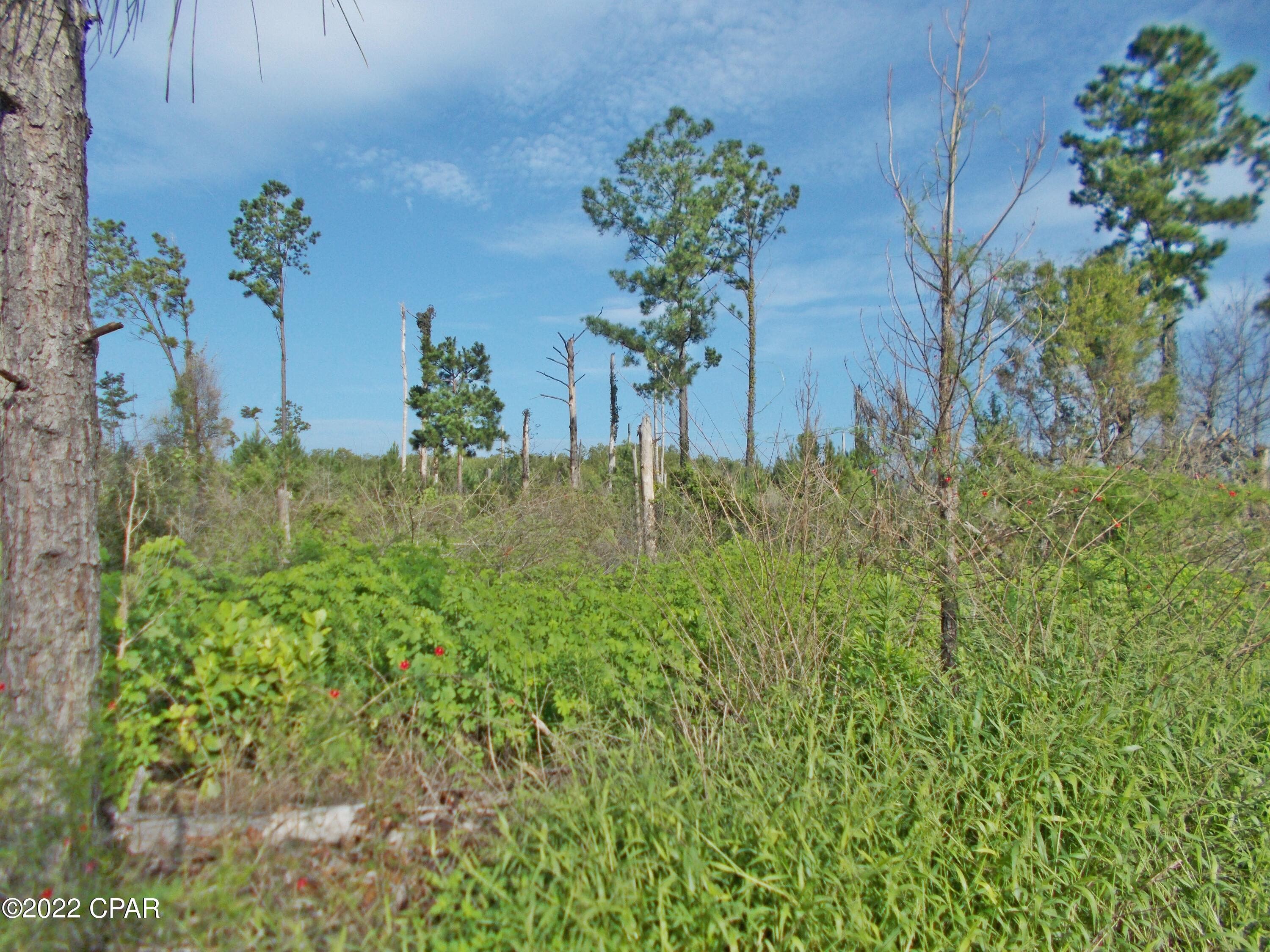 Bqcsijbnn3h_fgk313ywnfzncb5vjbm Ee0vkuk00ow