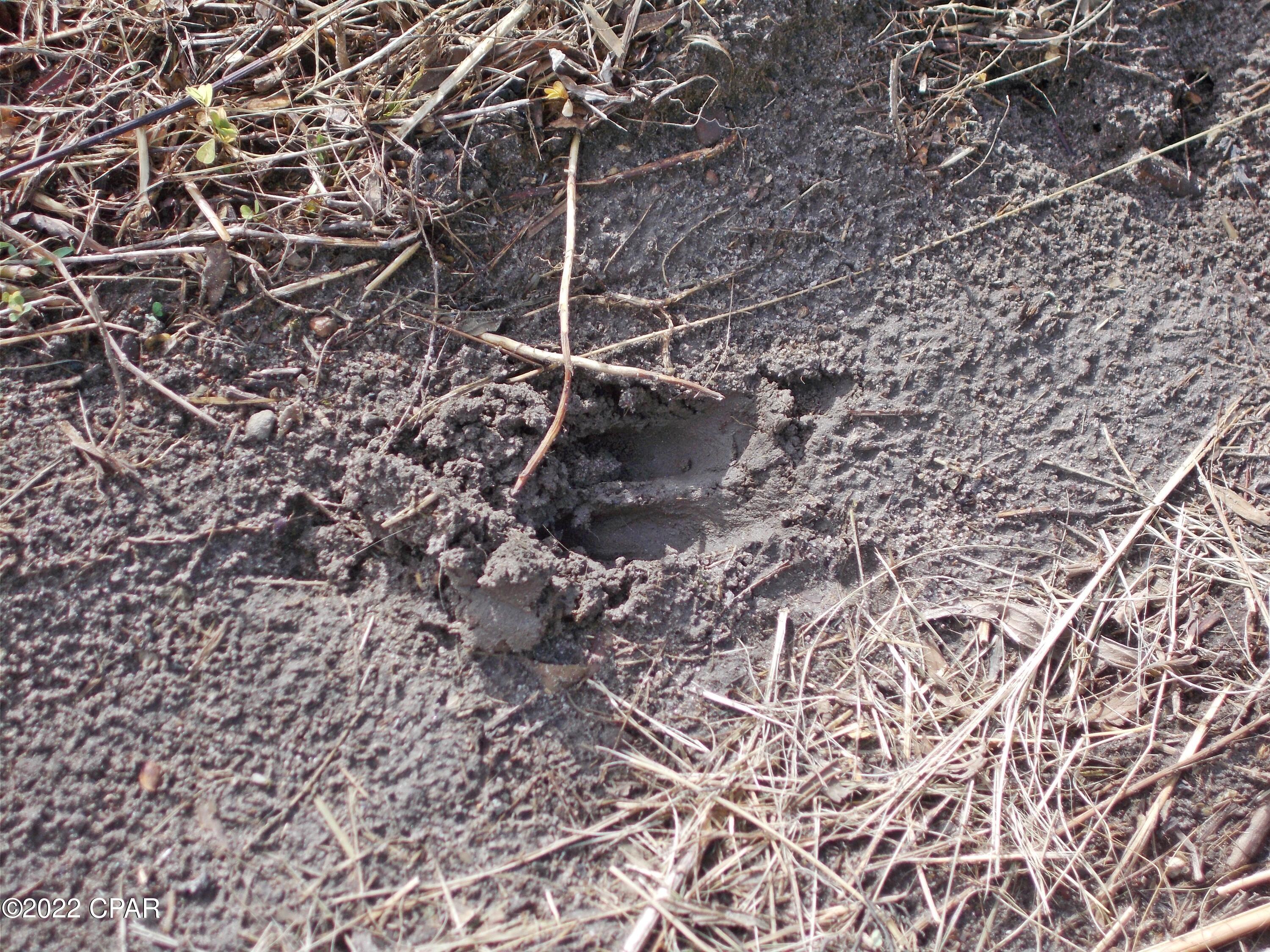 Fjonipyndo_e15tc3bbjhabw Nm8vhvrpu3lqowsm O