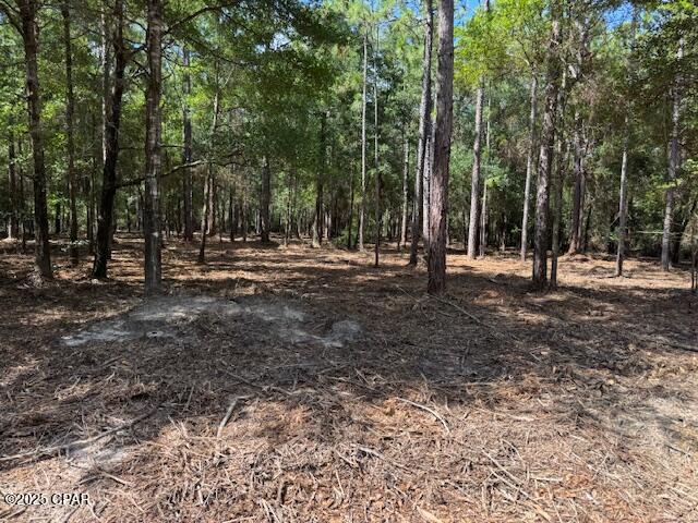 17a6lpkdoek6e872bkeosswcpxzirpvxgzrdjcpwbik