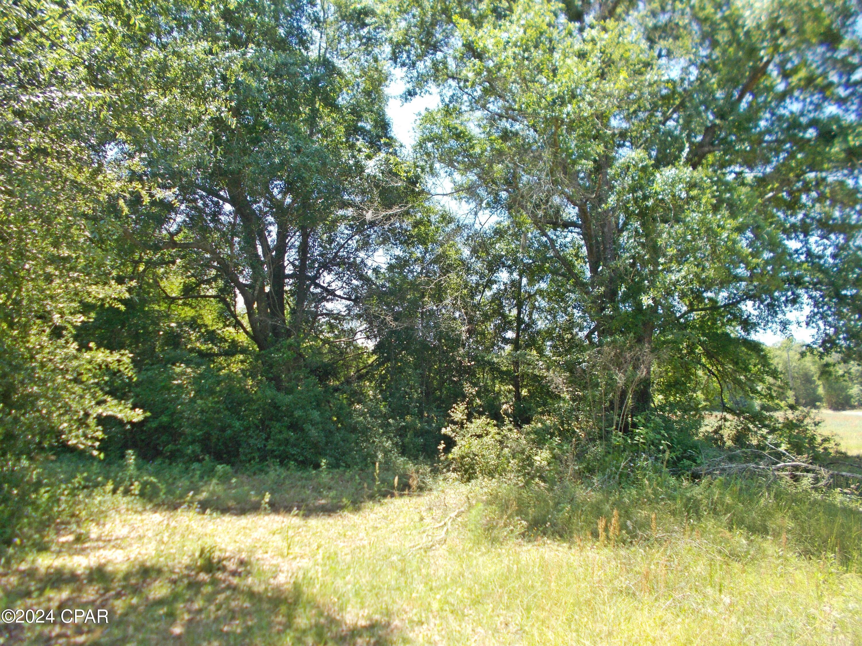 I4ffjuz4ljbbnarmud2fr_ Zp2 Gu 7qao_kmv0cesg