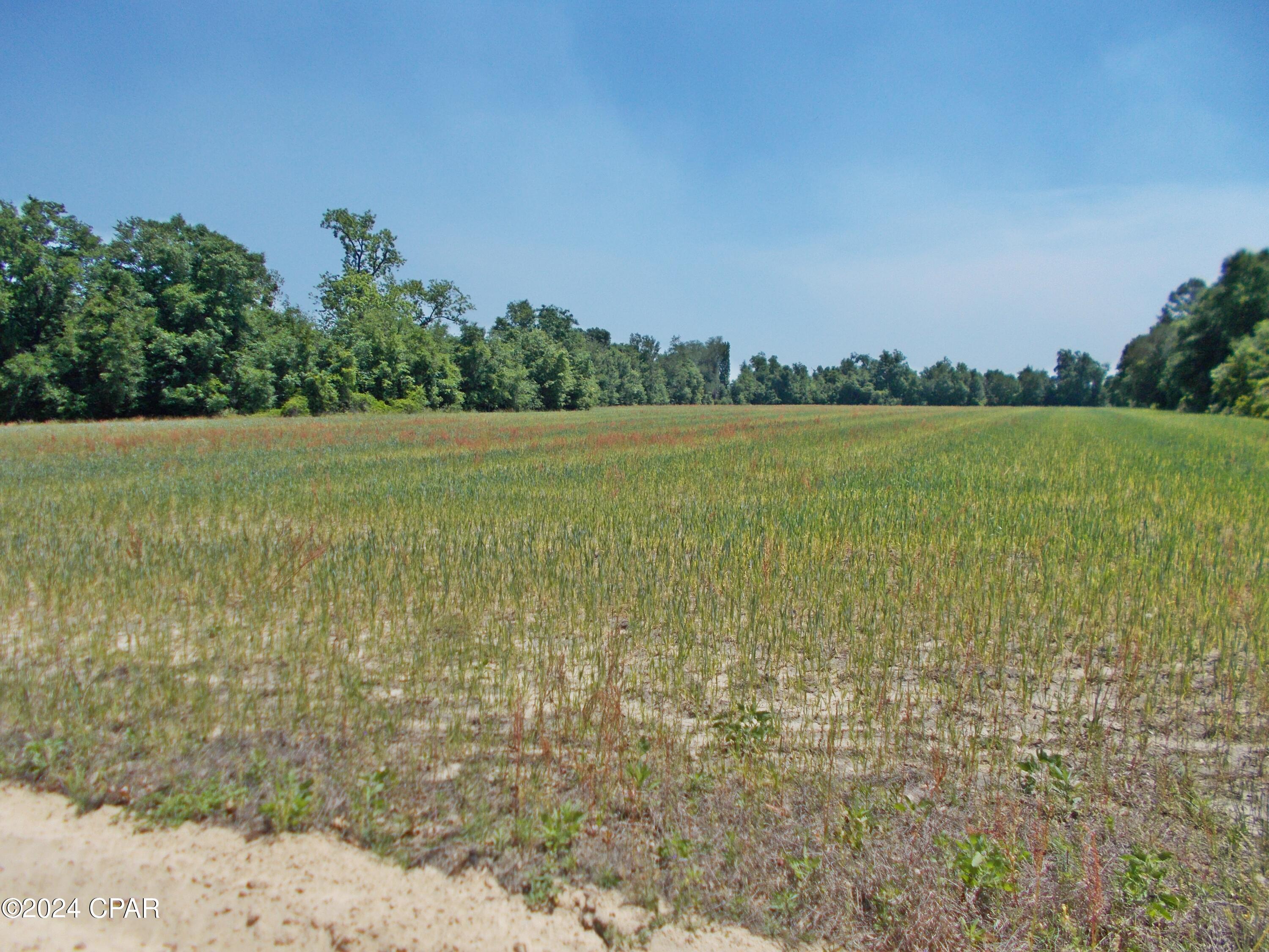 Epaa_ps49yeha7w6hg1yowd3mrngqrmpw0eepe0taxw