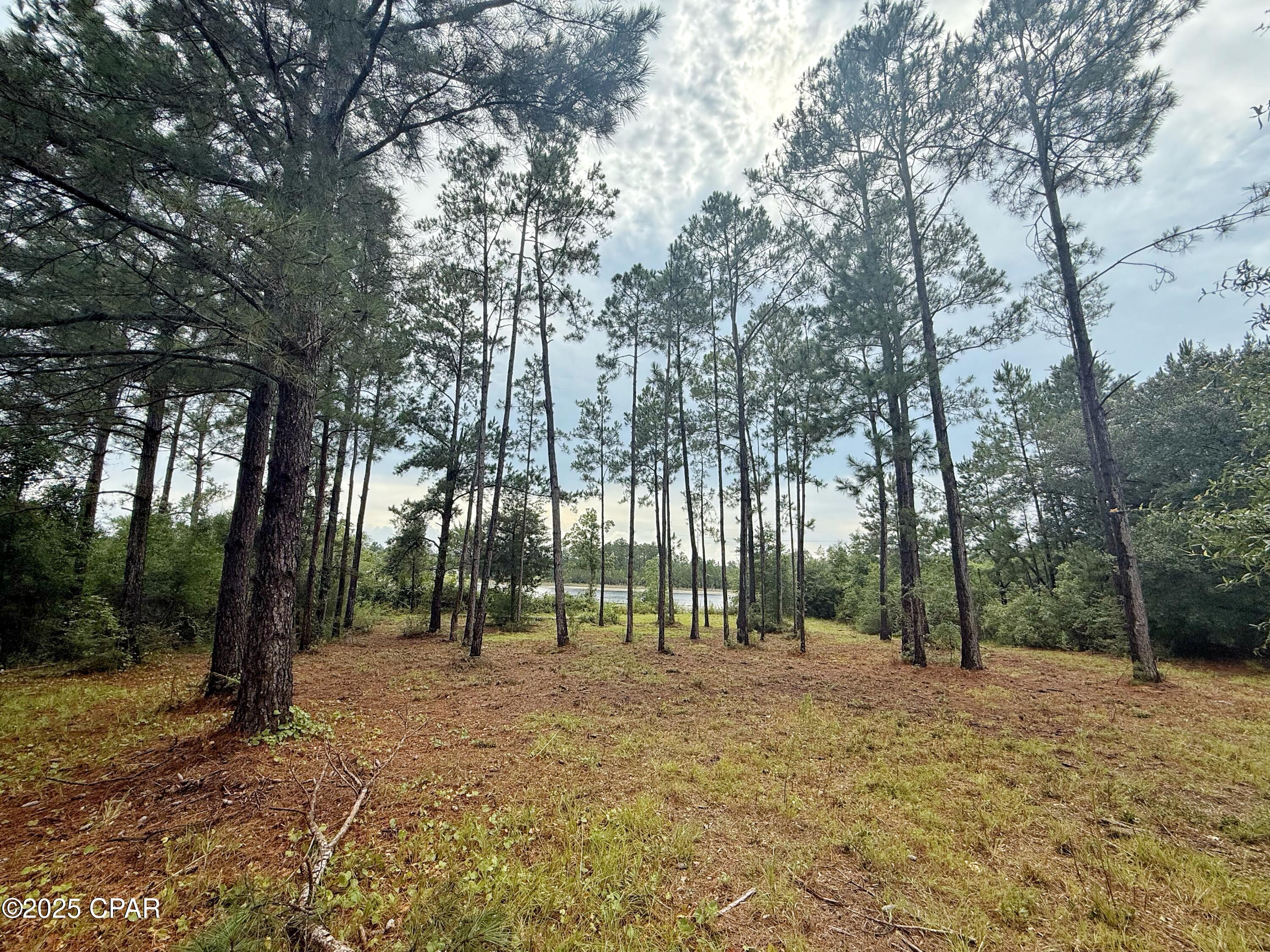 2gmfqh6tkslavisqmewvjv5_fap2hxcanqbtnyv23pu