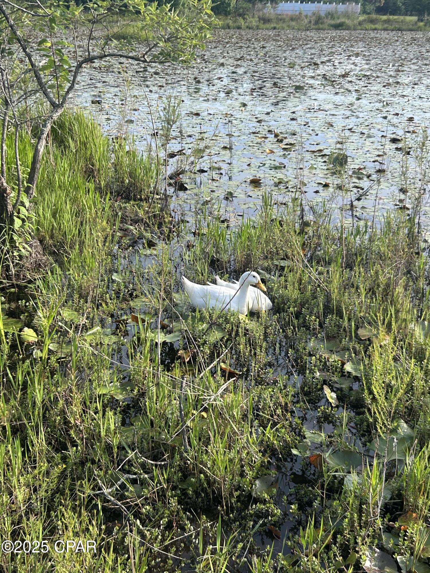 Image 45 For 2666 Indian Springs Road