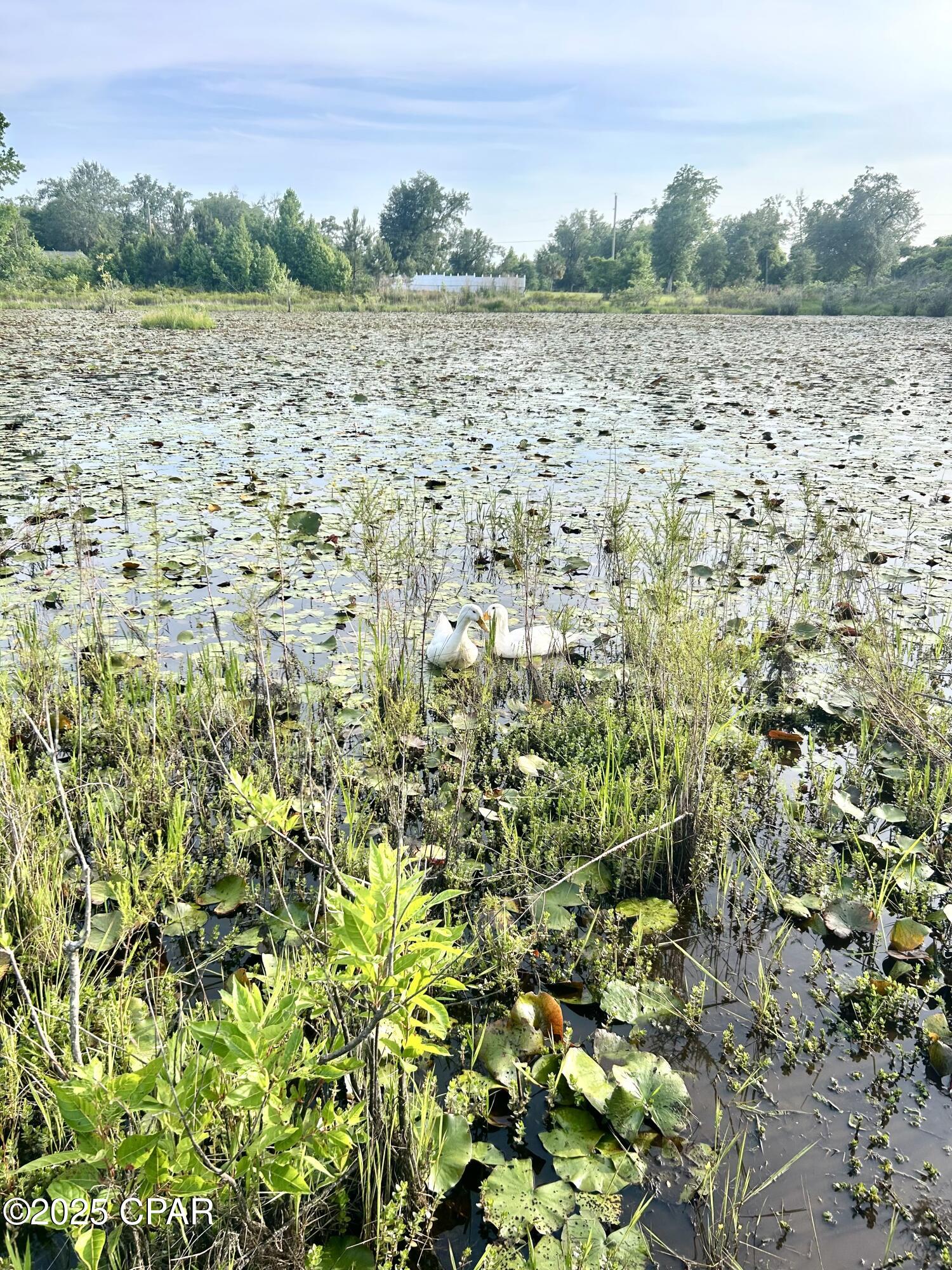 Ifrc9sjviv28blaqw2jpammfgjqwnvk7yhokjyzw_qq