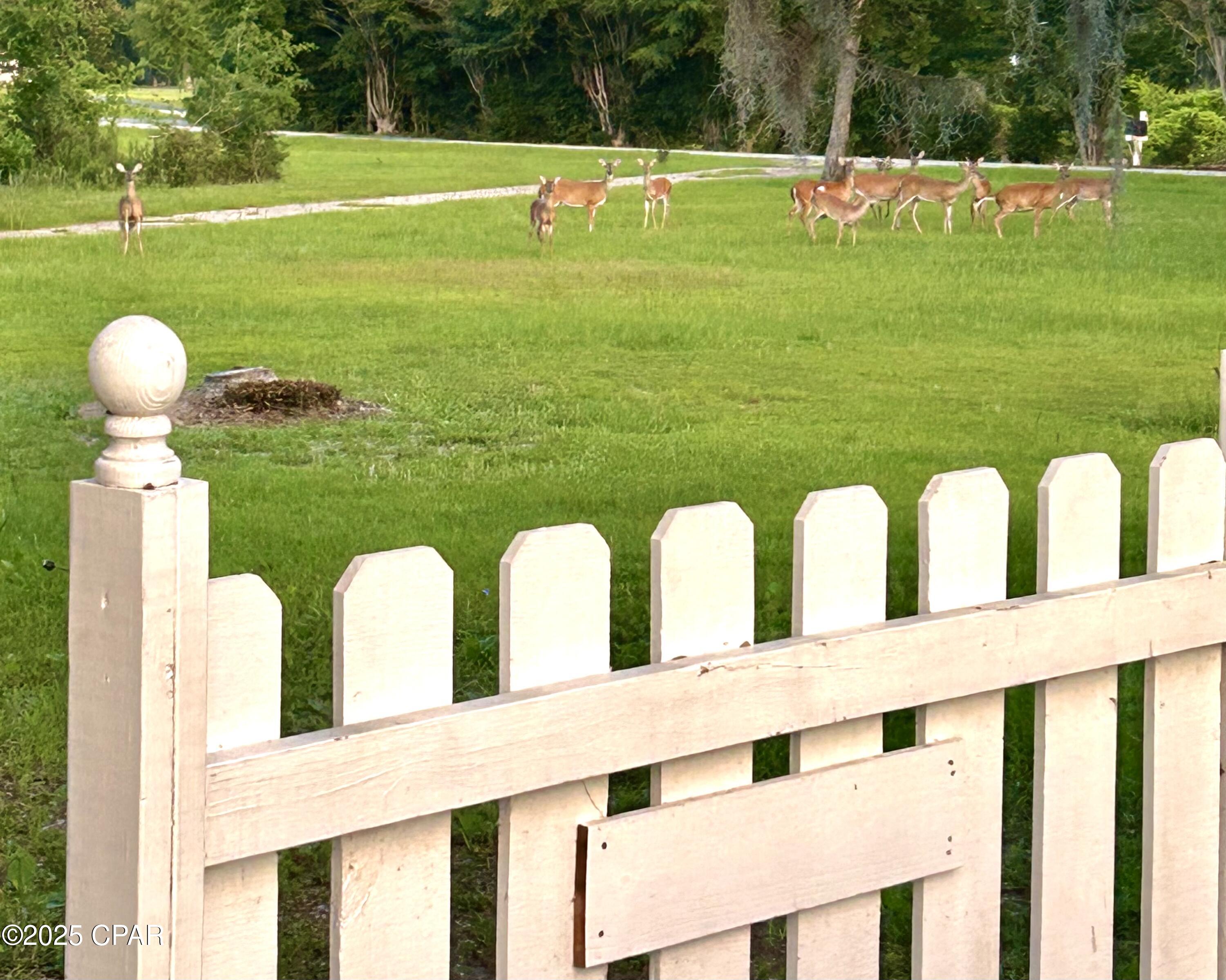 Tuno Dkdtdvkkqwndhyg9jsqrlgikoyv_3yvsk4dybg