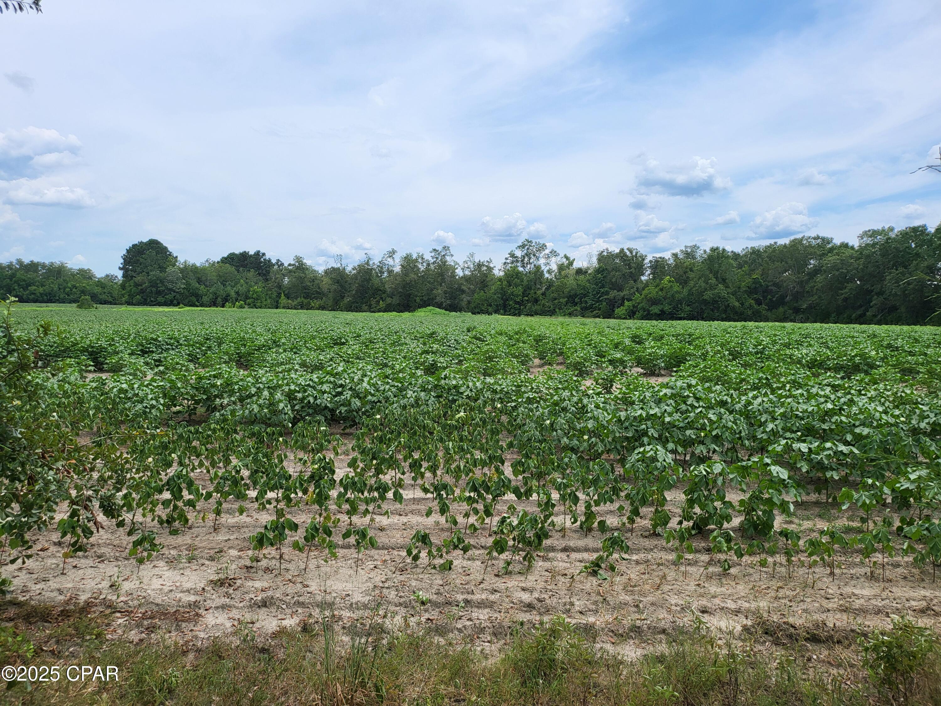 Details for 000 Joiner Road, Chipley, FL 32428