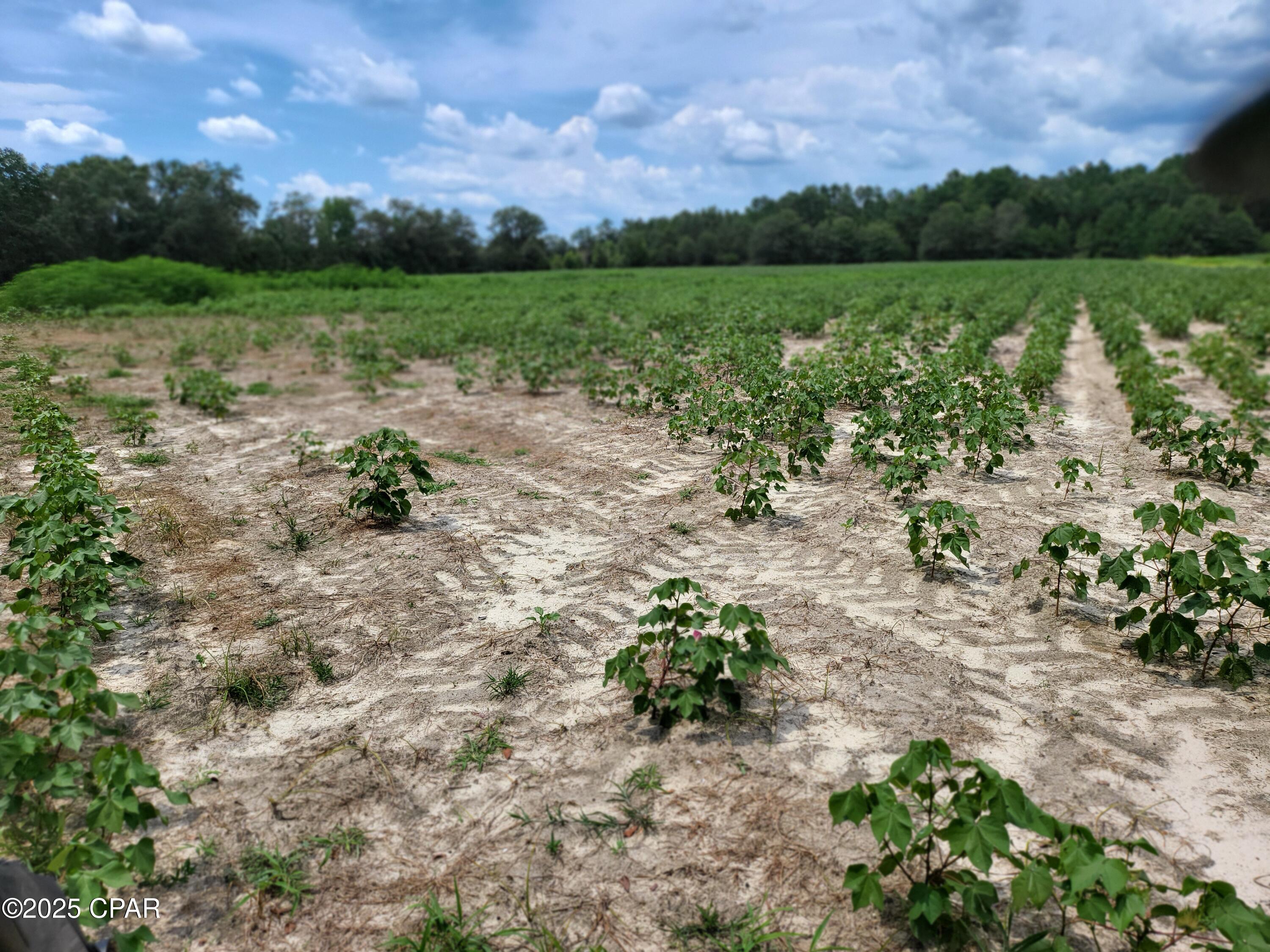 Rv7gogj5jxe3ldpkw6u6ecbsyatepw3zzroyjkgpkb8