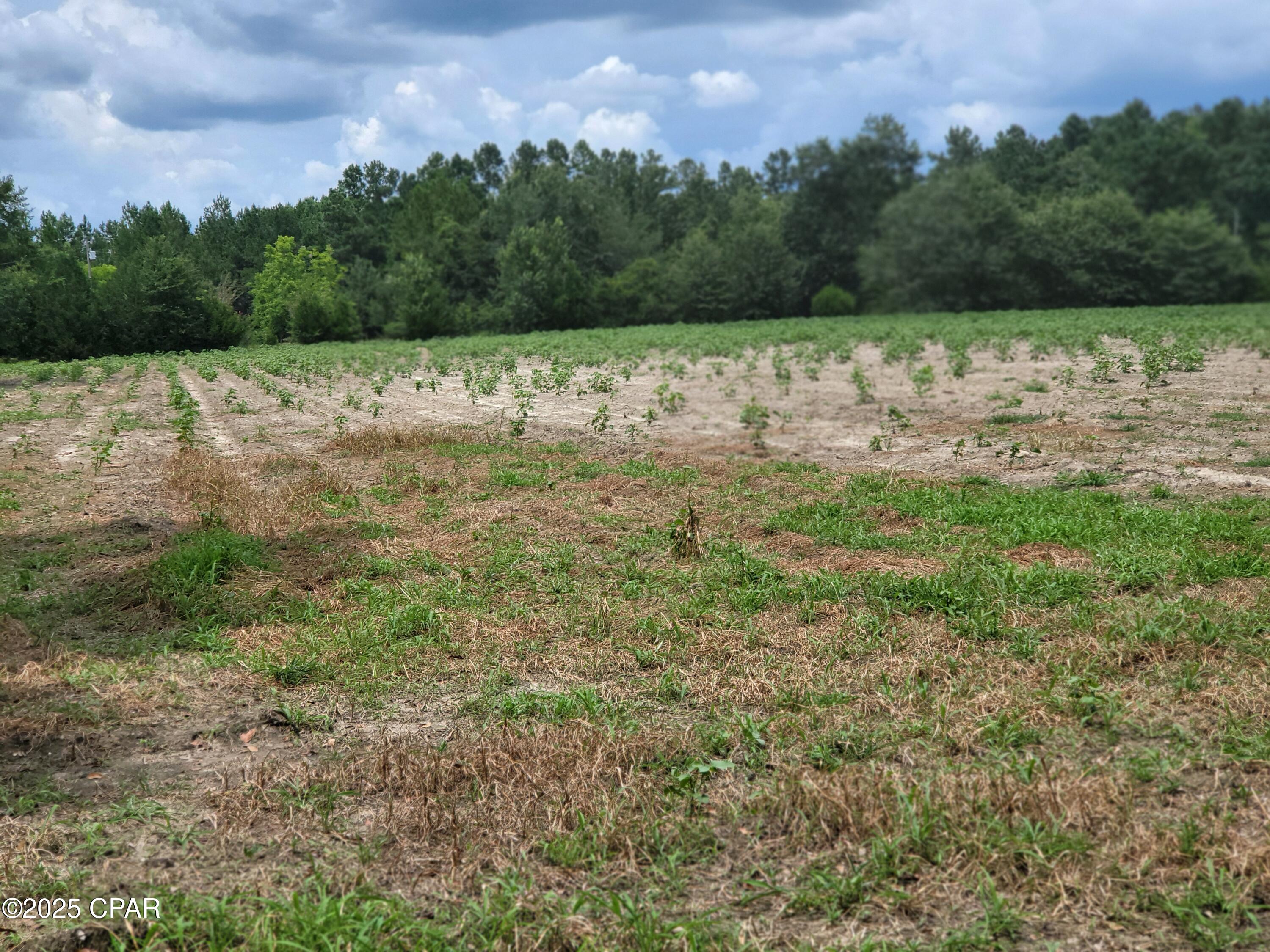 6smo99xd7x_5bf5ktkdytixymsbpcbdwrzxgr3jb0ji