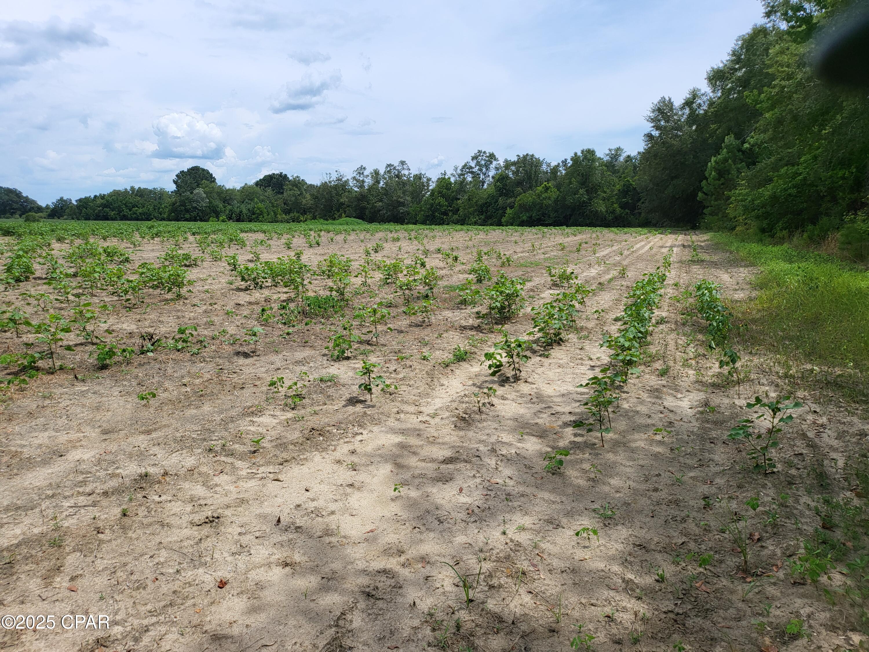 Uz0qxh4dchc1b_oopwymhdf5ukto2wusr3aqtyfza7u