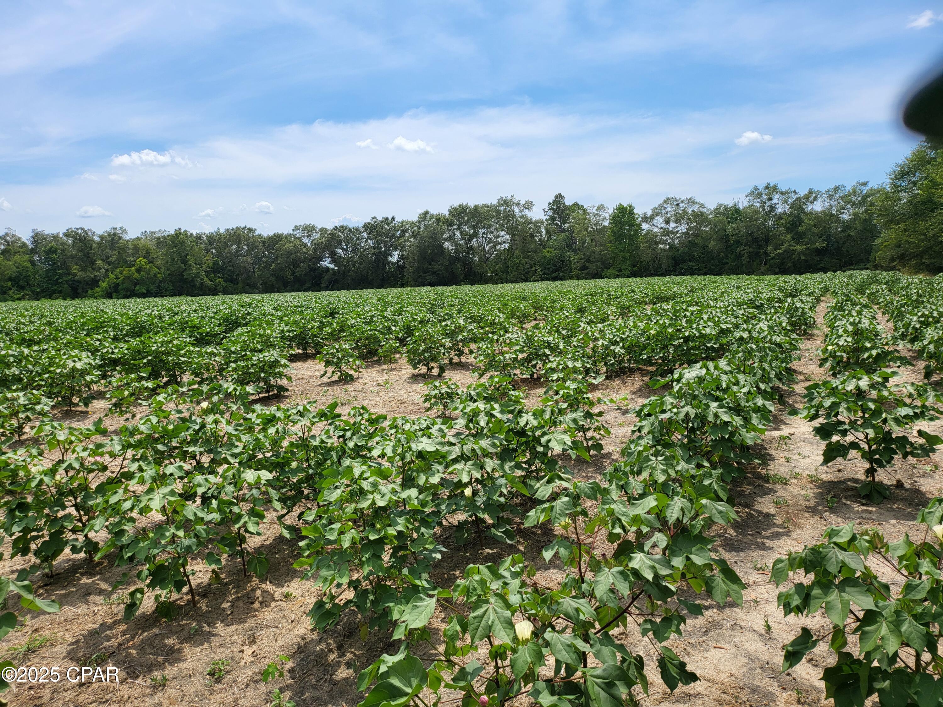 Ghp1ddhp9hwypiolcq3tnhangsenbpgz4ohvhfahxz4