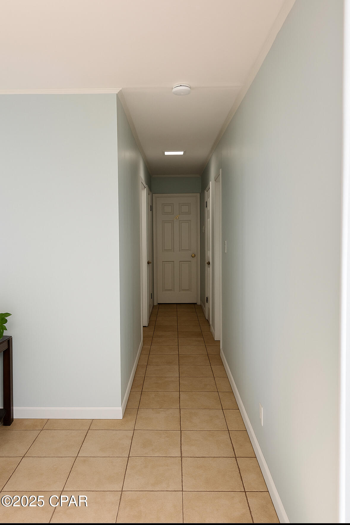 Tjg_5mj2cm1xczubwrs_xpgfonkjjm H Gyntjrmdew