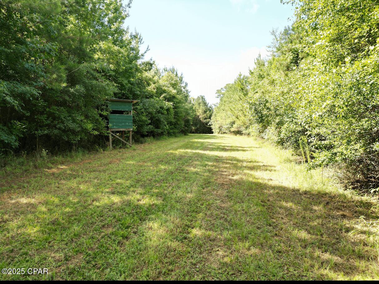 8w7pvemzctvmsxpkpuxkfa0lxe4gzwjvdrhe Zjikii